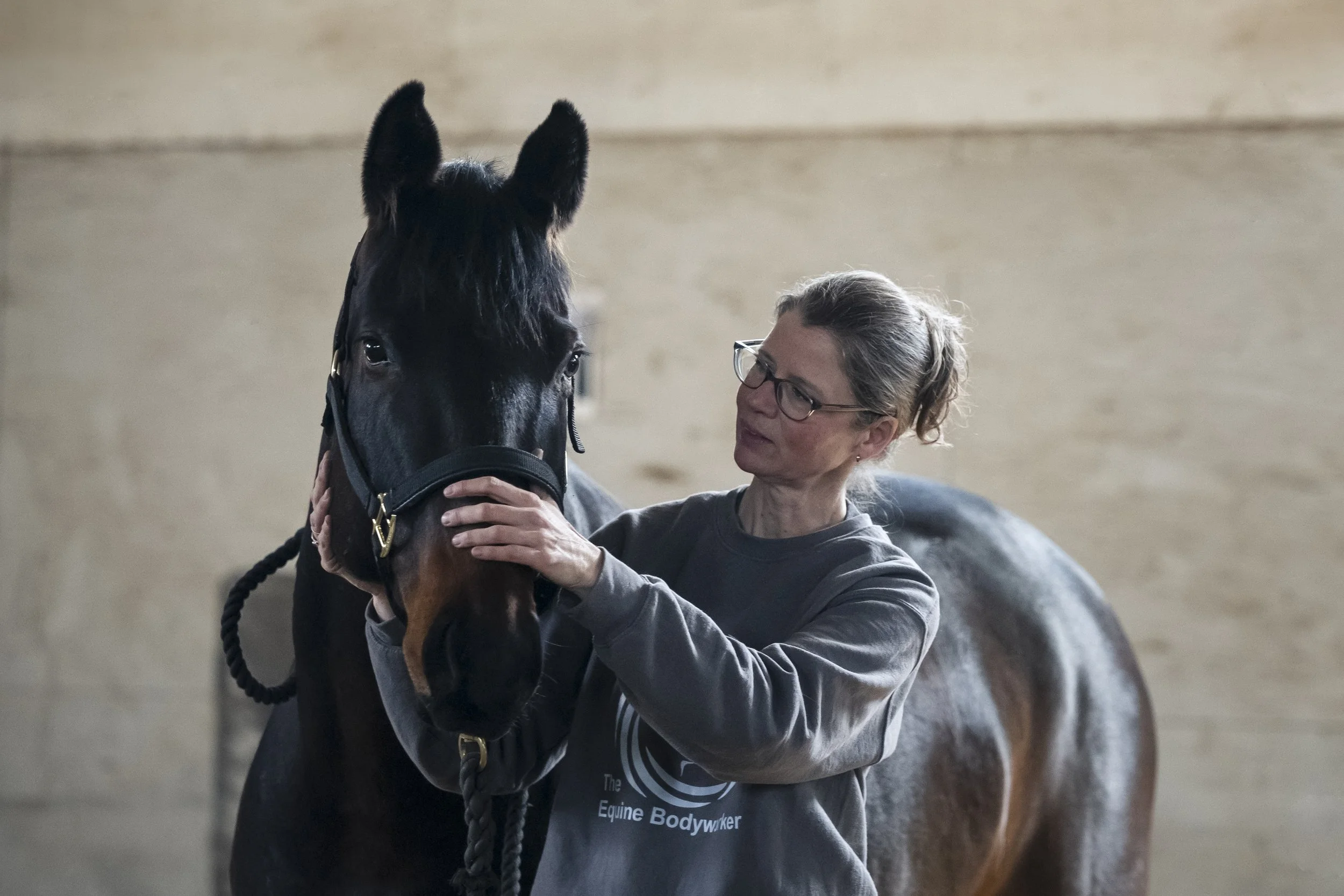 The Equine Bodyworker Catherin Gunkel Masterson Method Calgary Alberta