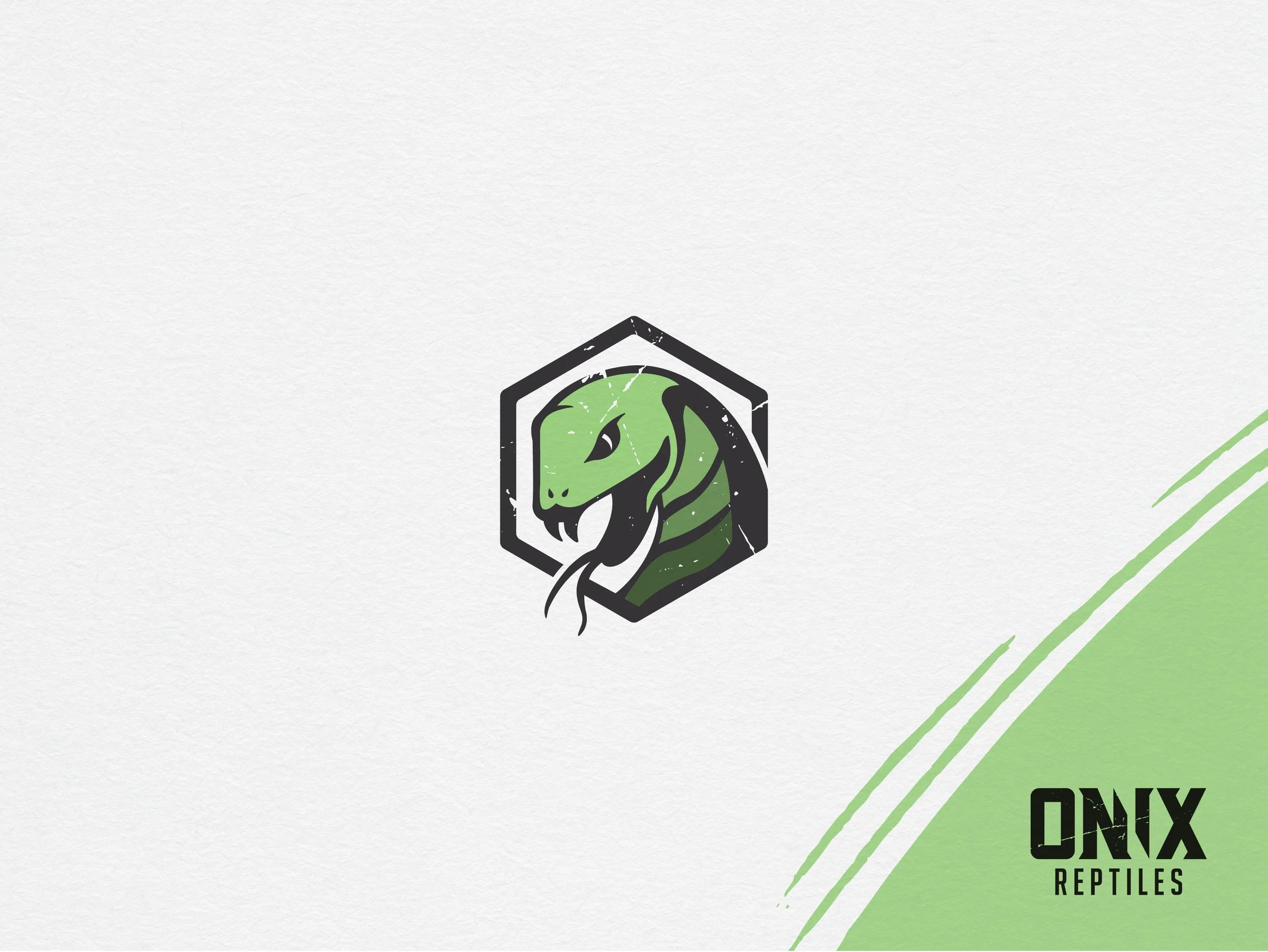 ONIX_REPTILES_LOGO_WEB_SHOWCASE-02.jpg