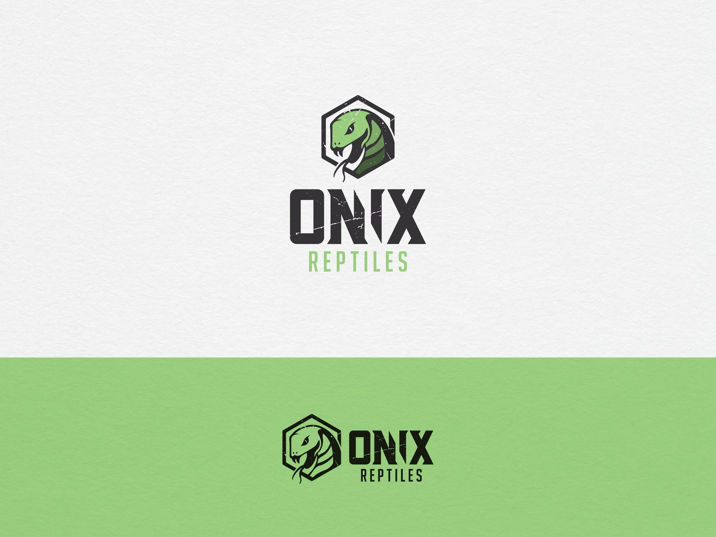 ONIX_REPTILES_LOGO_WEB_SHOWCASE-06.jpg