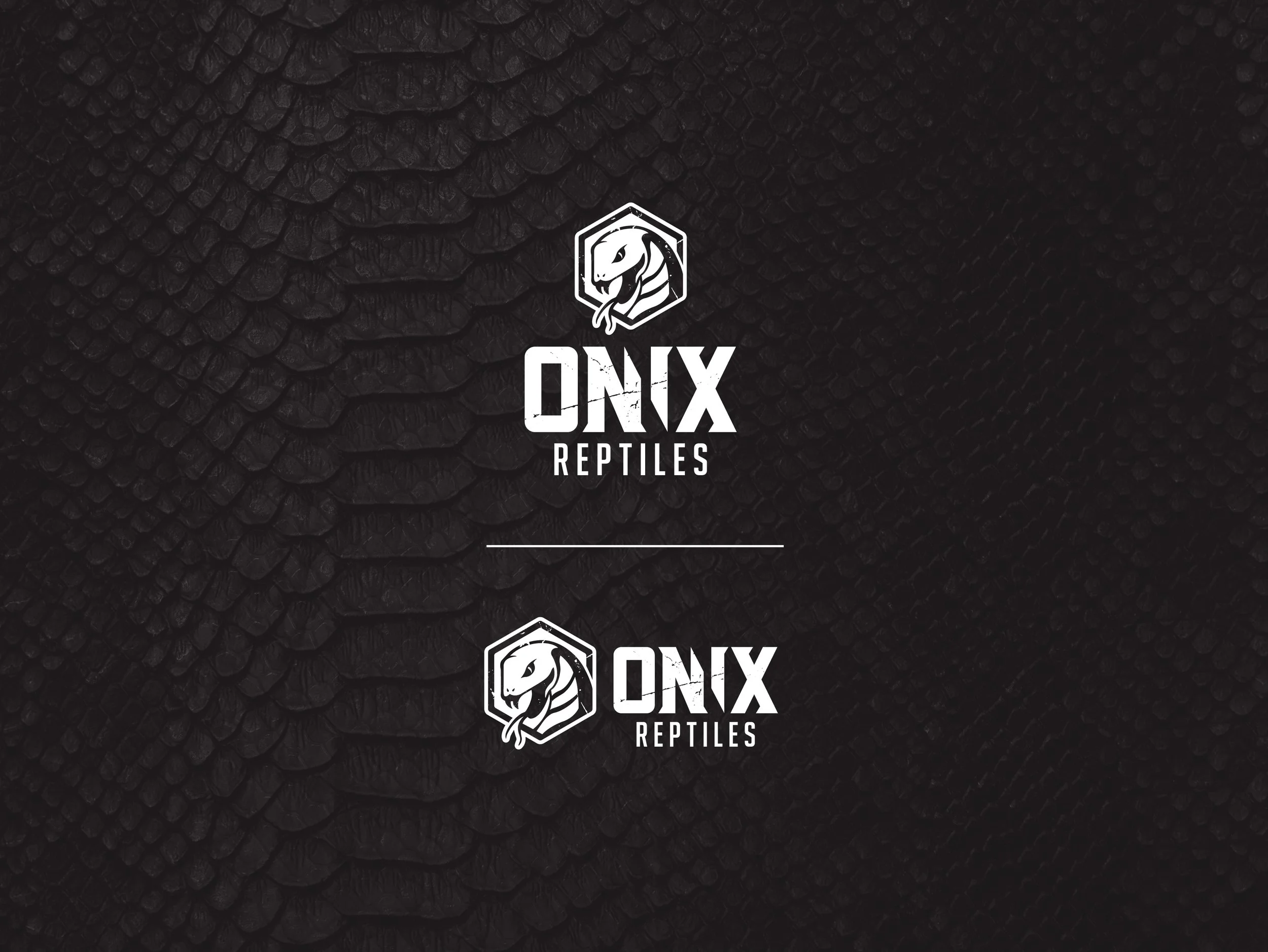 ONIX_REPTILES_LOGO_WEB_SHOWCASE-05.jpg
