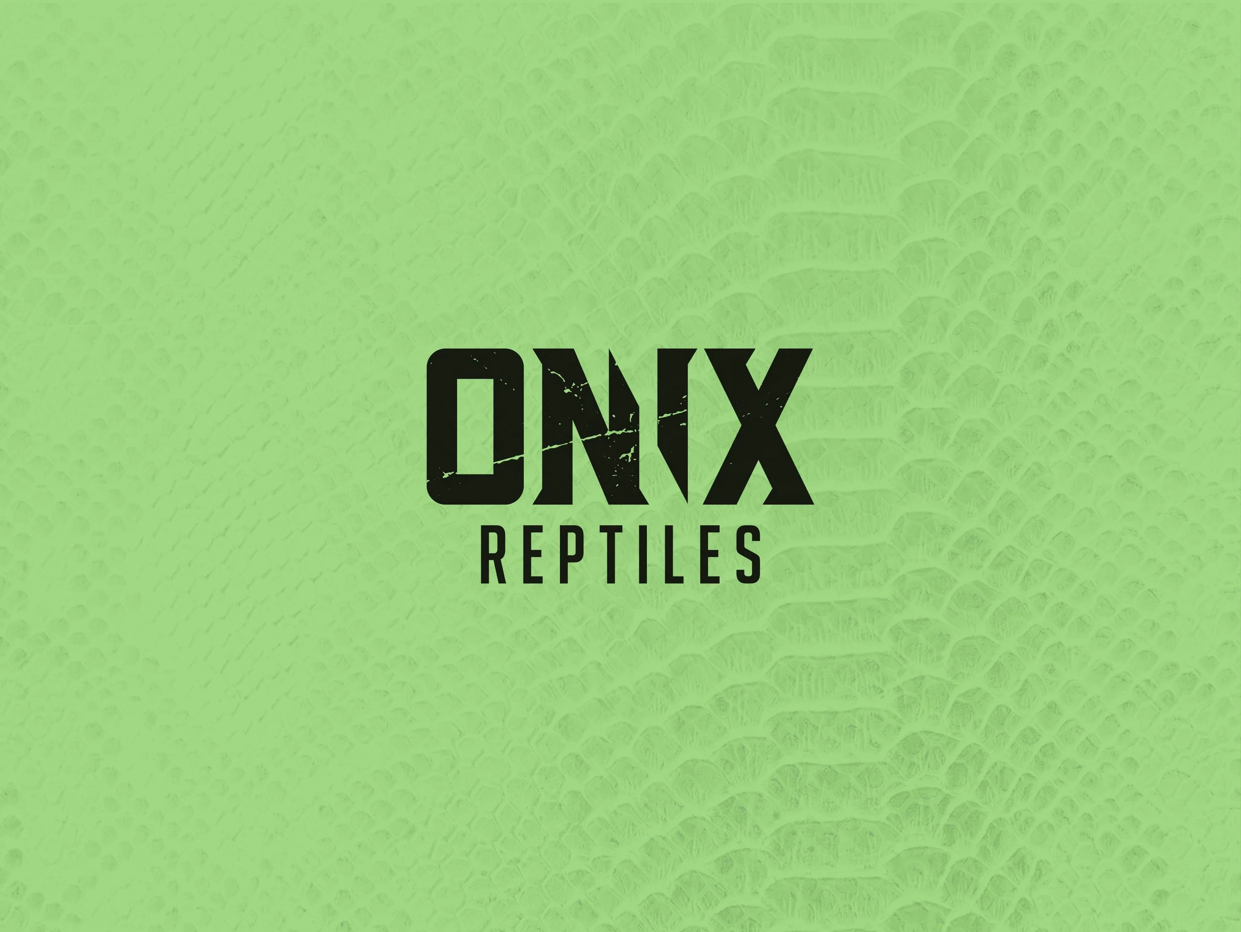 ONIX_REPTILES_LOGO_WEB_SHOWCASE-01.jpg