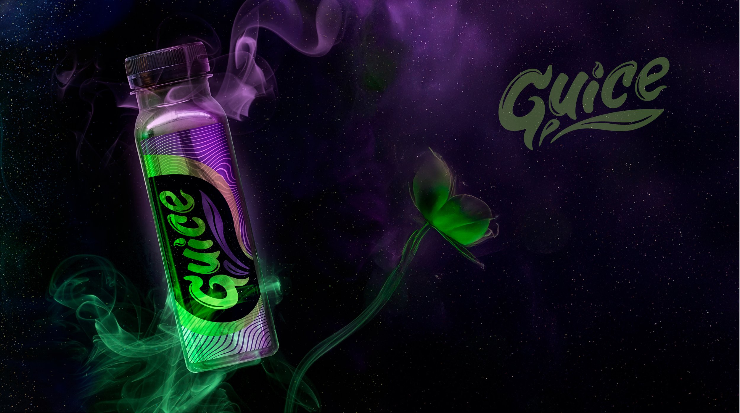 GUICE_WEB_SHOWCASE-02.jpg
