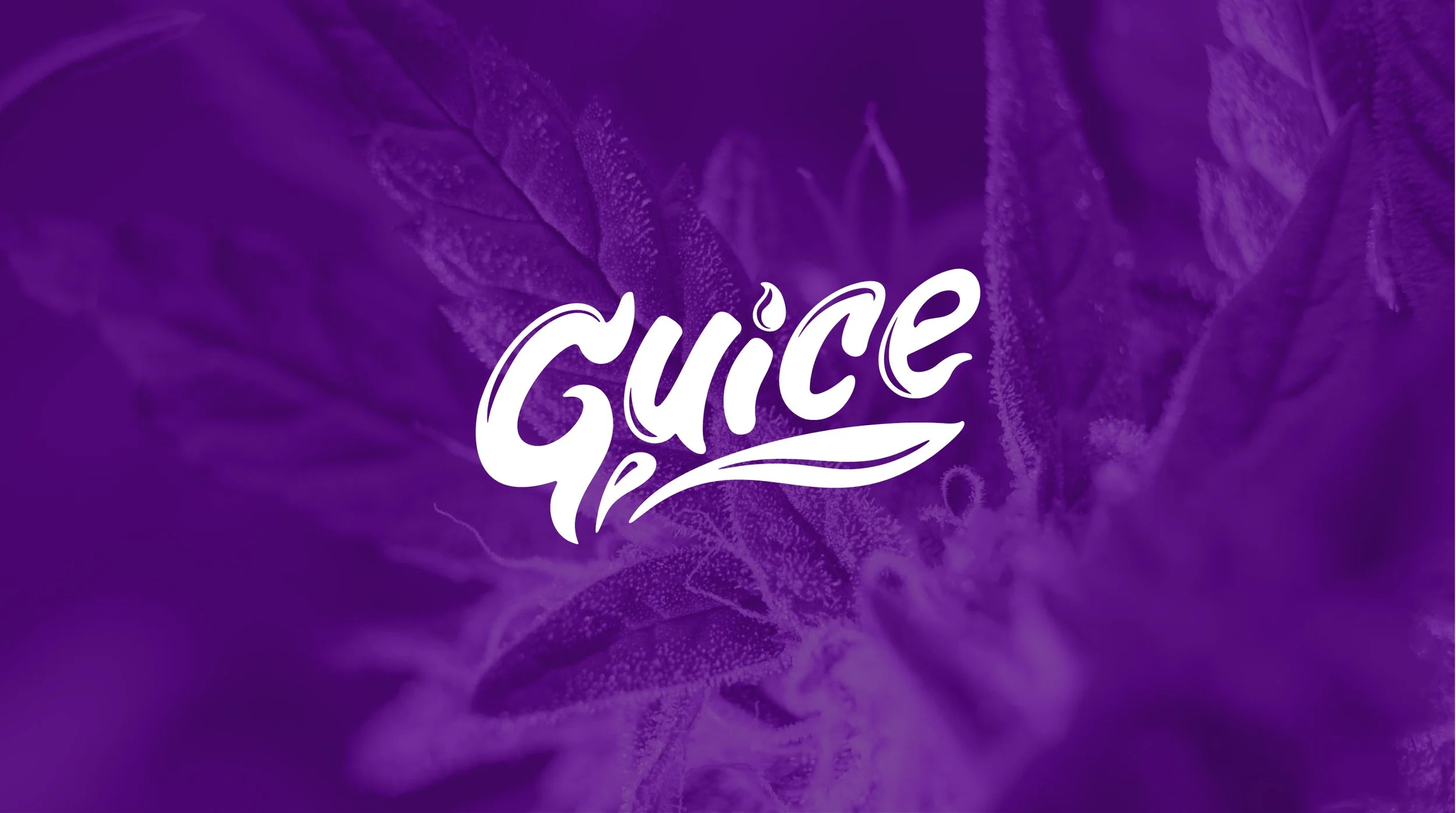 GUICE_WEB_SHOWCASE-01.jpg