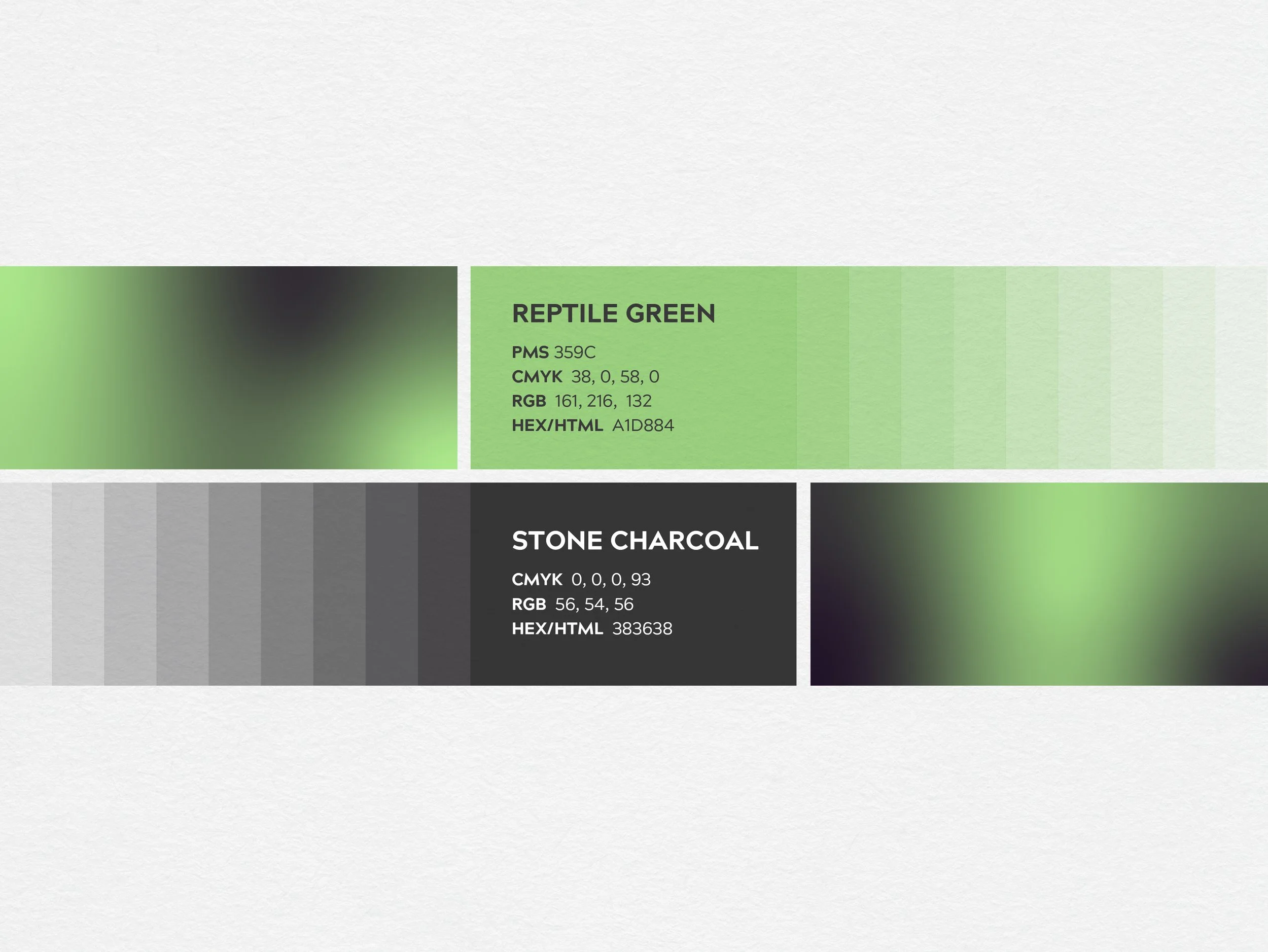 ONIX_REPTILES_LOGO_WEB_SHOWCASE-07.jpg
