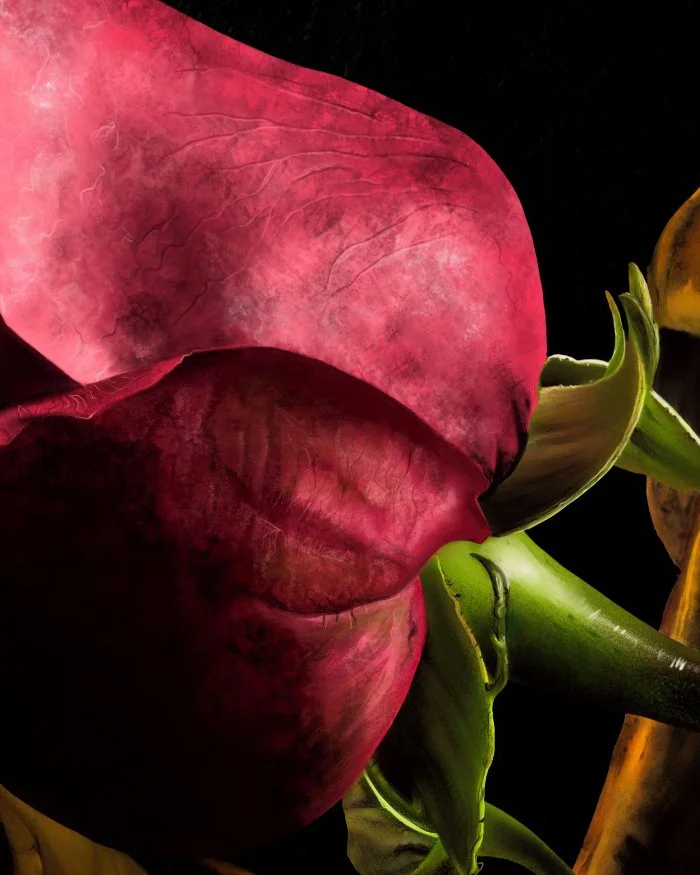 Skull_&_Rose_Deets_A.jpg
