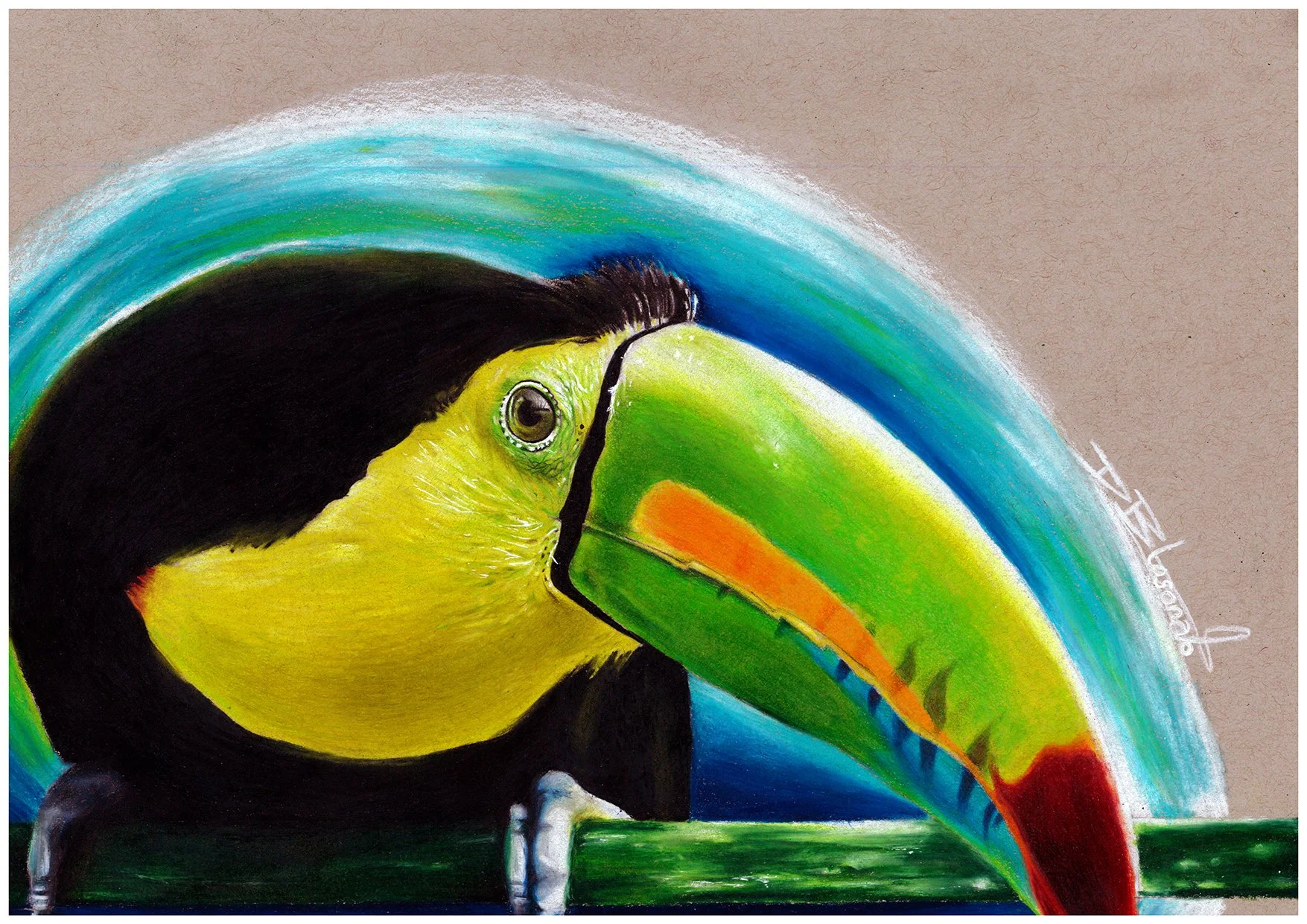 TOUCAN_150DPI.jpg