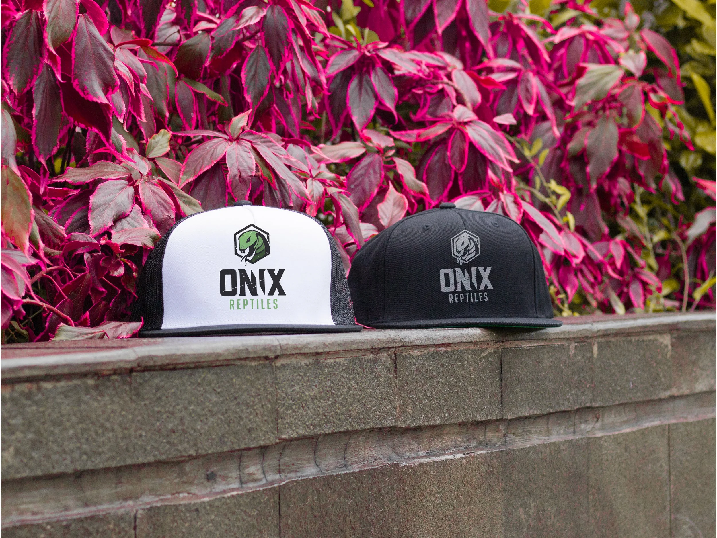ONIX_REPTILES_LOGO_WEB_SHOWCASE-08.jpg