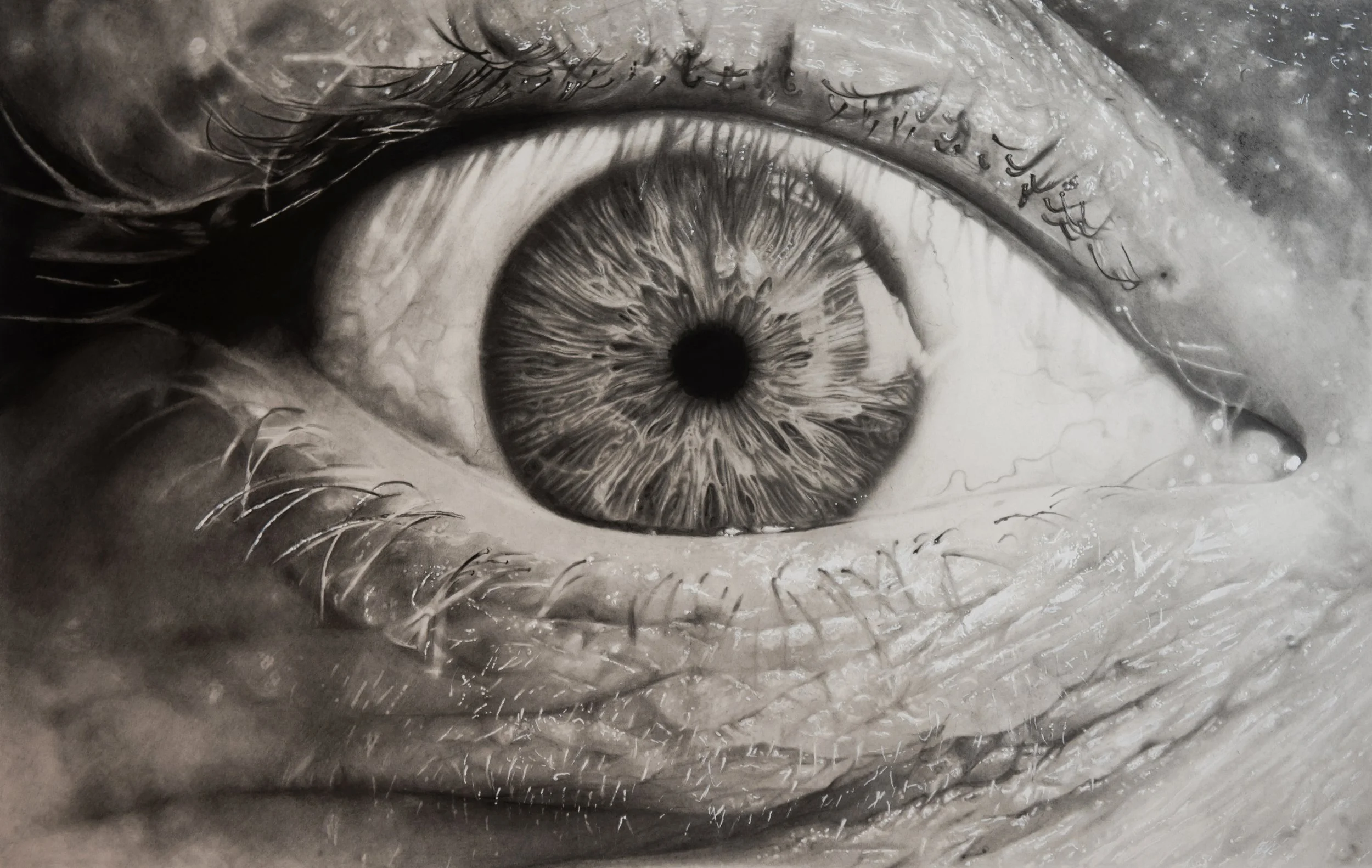 EYE.jpg