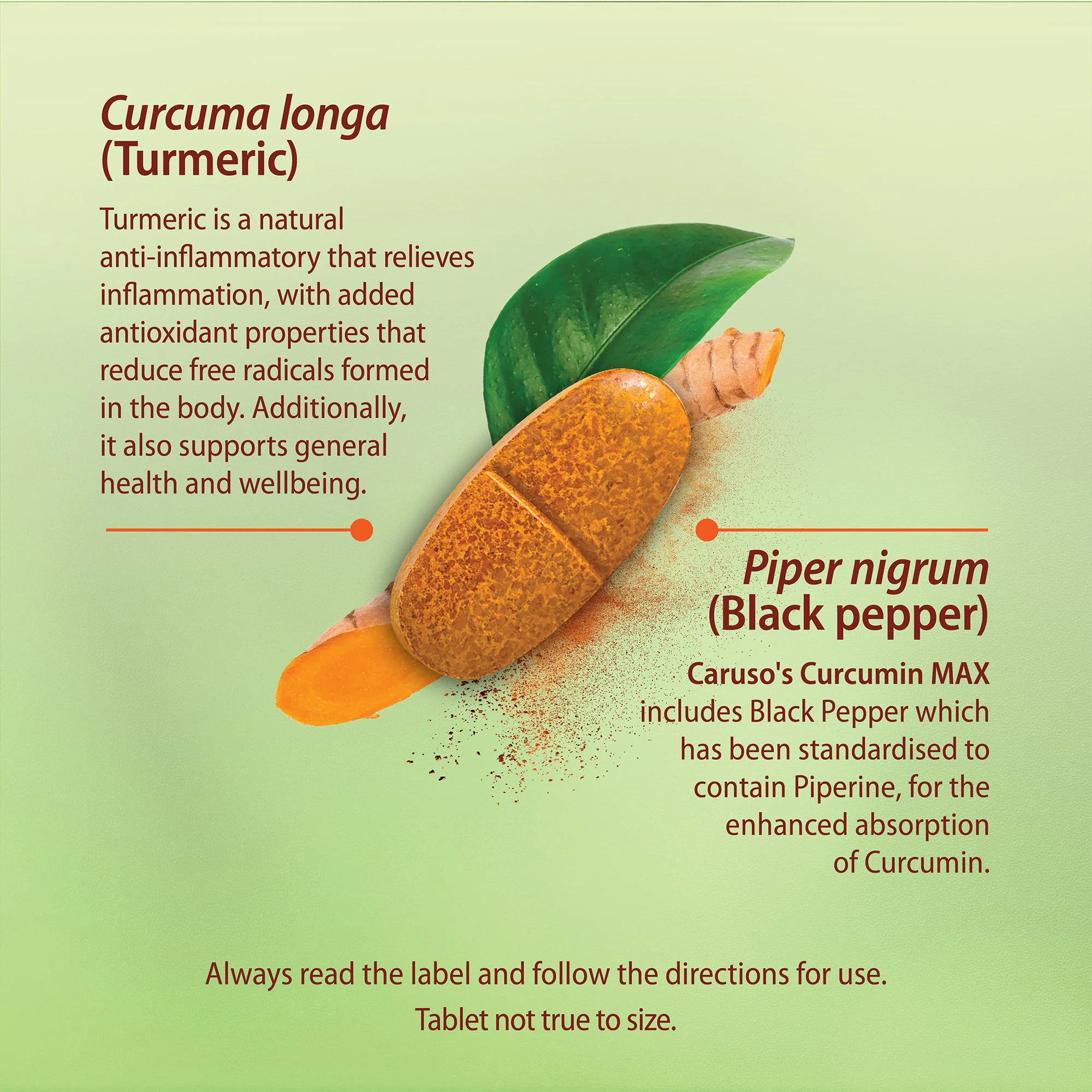11363_CURCUMIN-MAX-RMC_0226_CURCUMIN MAX_2000PX TABS.jpg