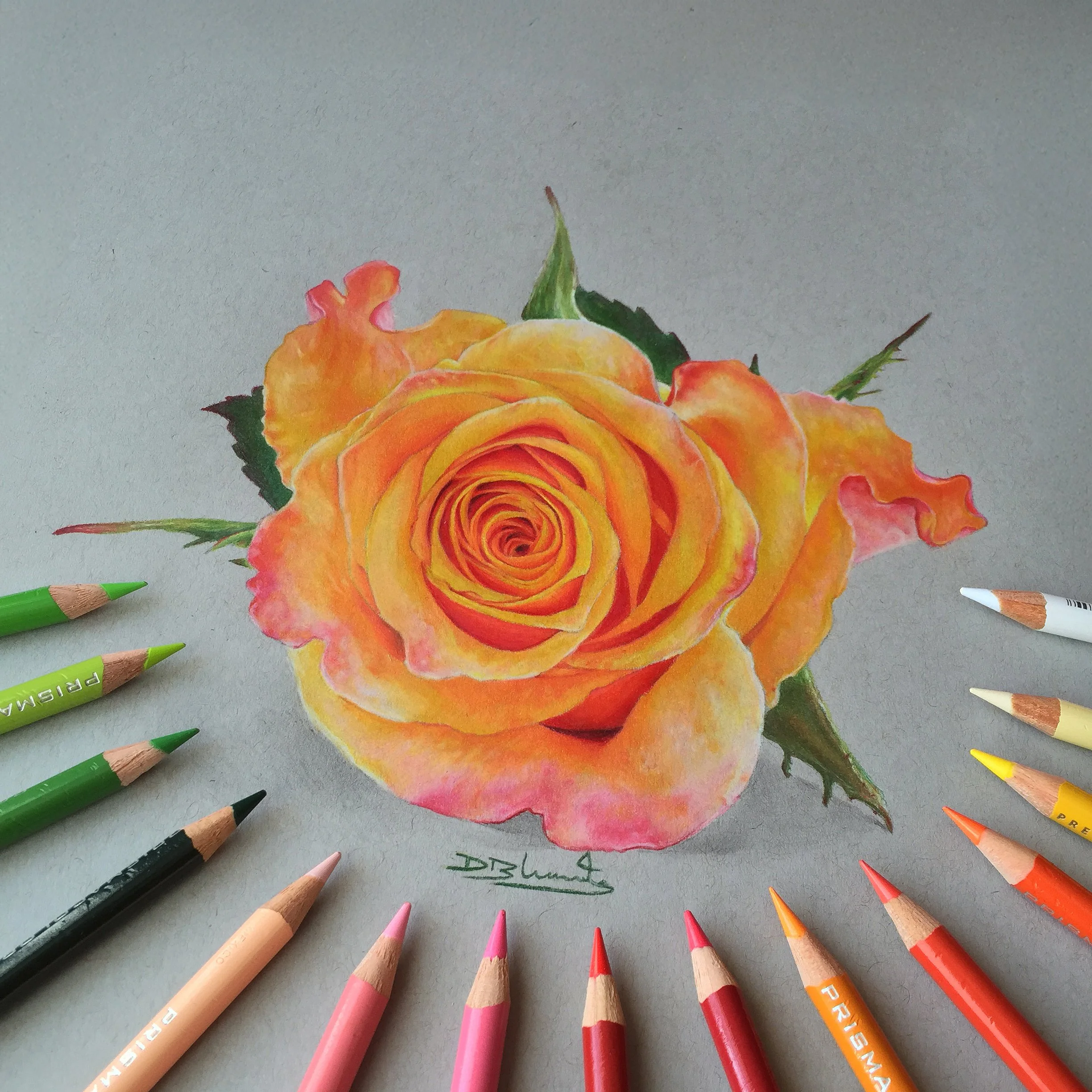 ROSE_2.jpg