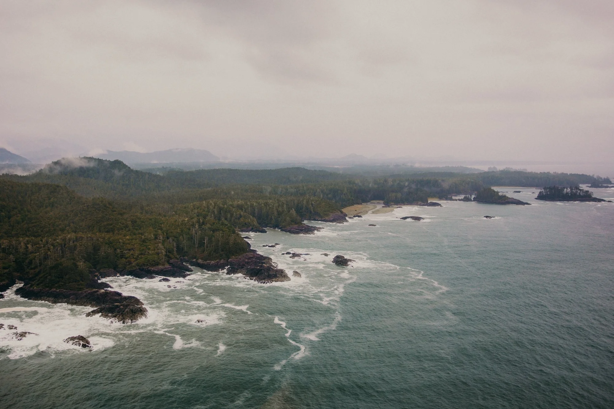 Overcast view of a rugged coastline with dense green forest, rocky shores, and waves crashing into the rocks, with distant hills and mountains in the background under gray sky.