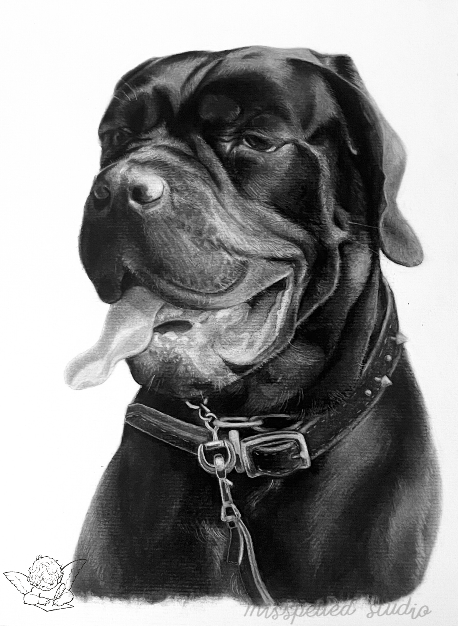 Willow, 2025  
Charcoal on paper