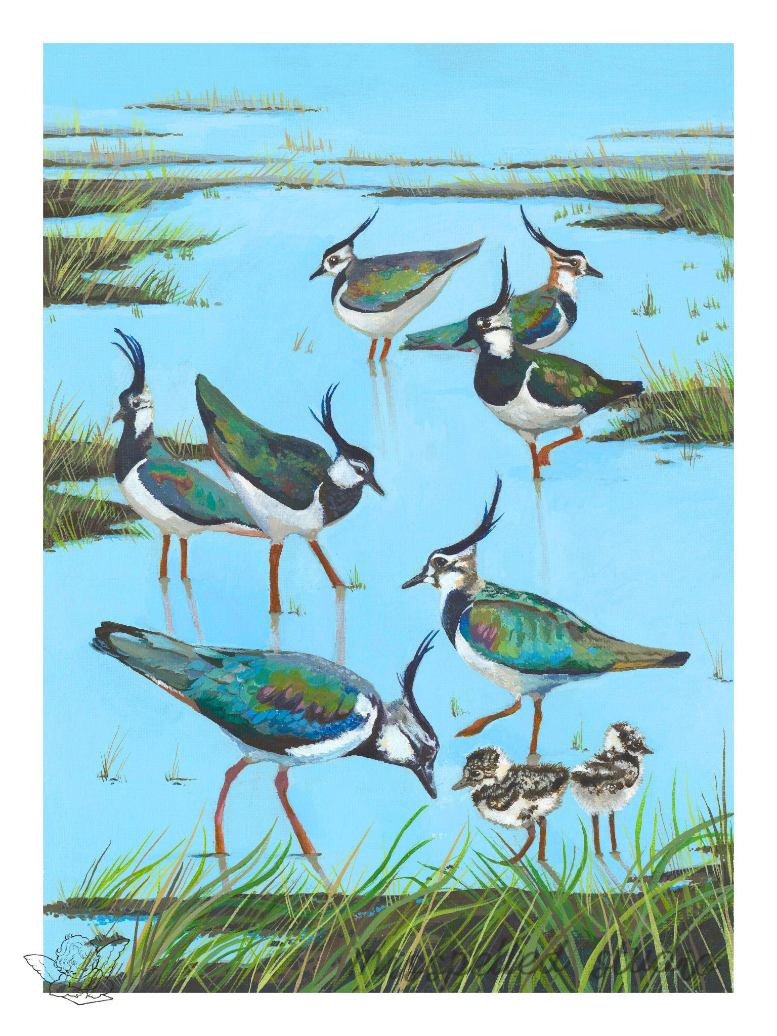 Nine Ladies Dancing: Northern Lapwing, 2024
Acrylic on canvas