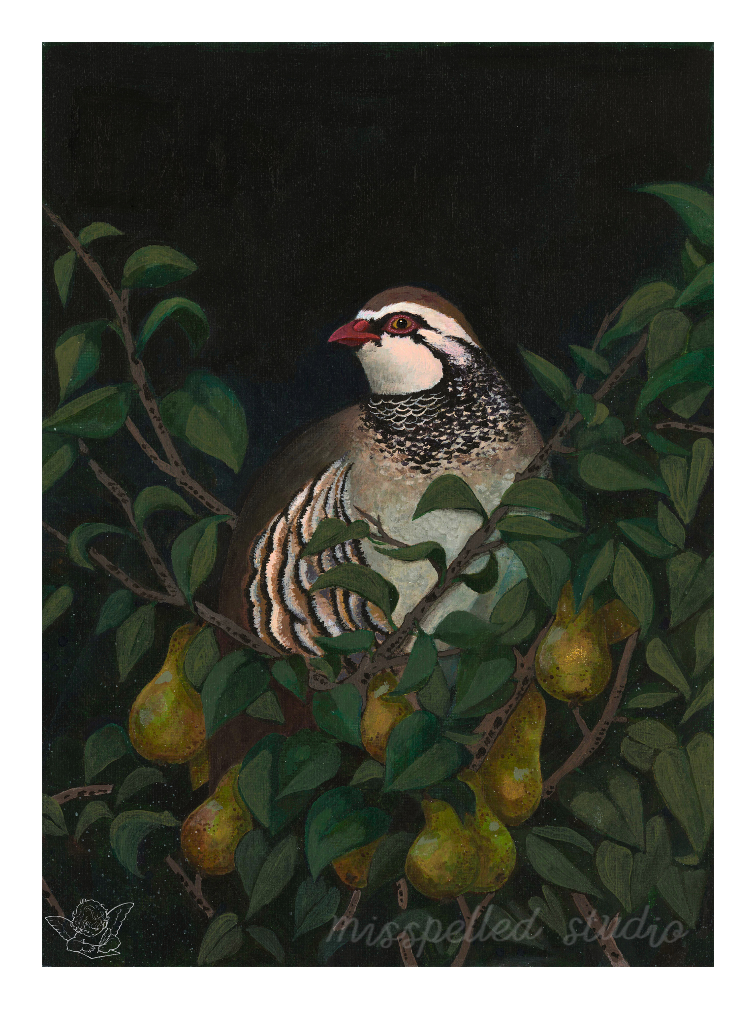 Partridge in a pear tree: English partridge, 2024
Acrylic on canvas