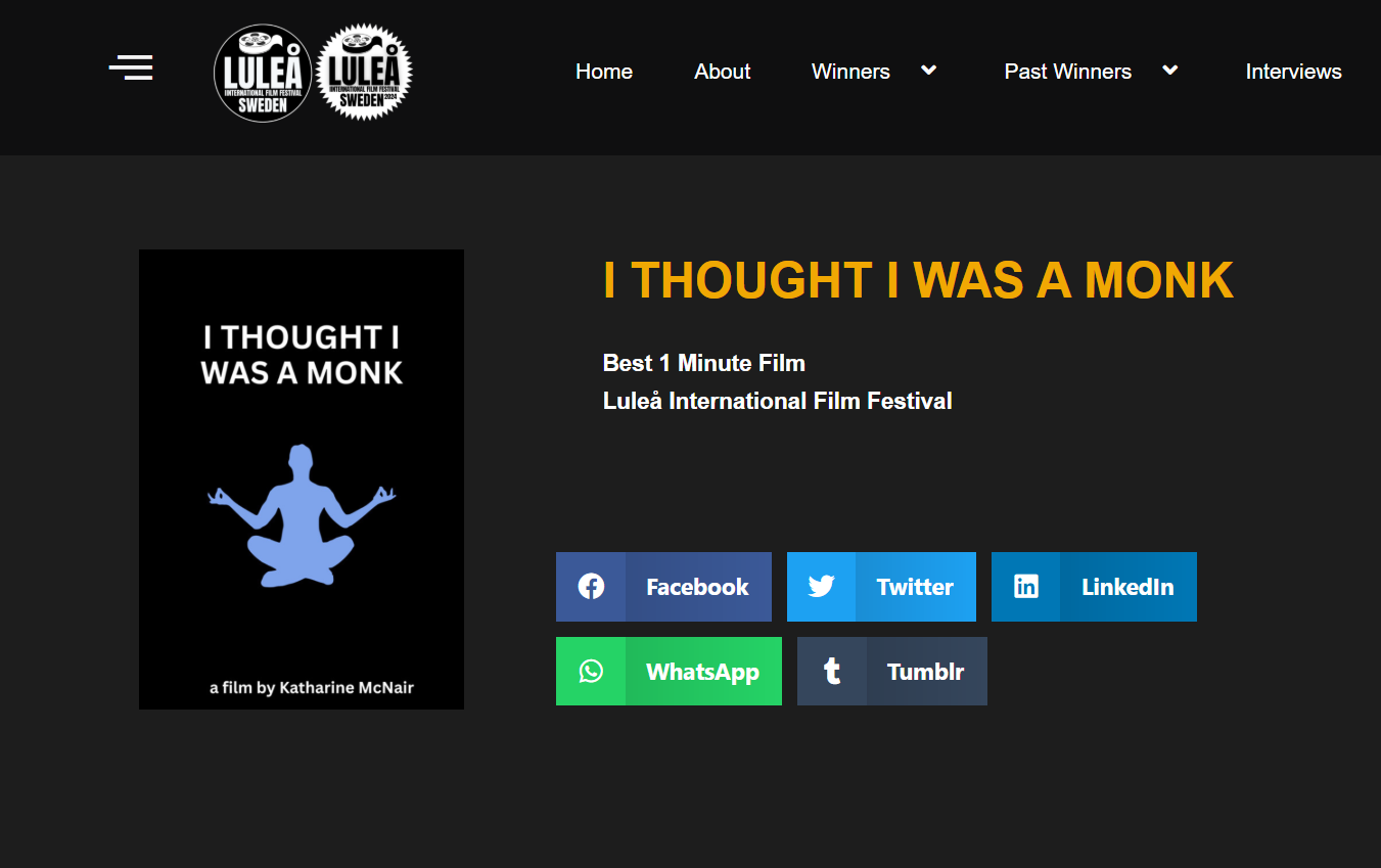 Best 1-Minute Film - Lulea - Webpage.png