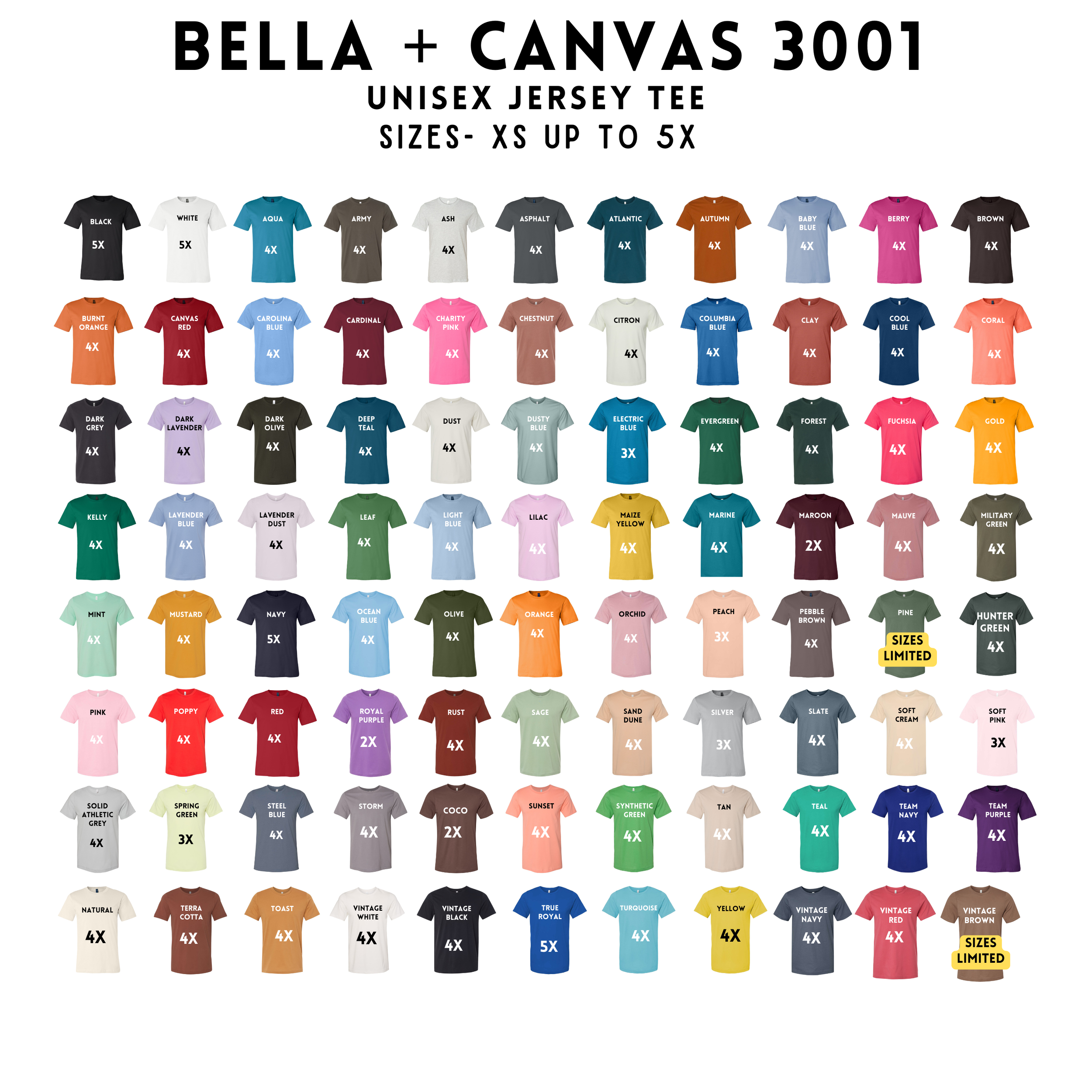 BELLA + CANVAS 3001.png