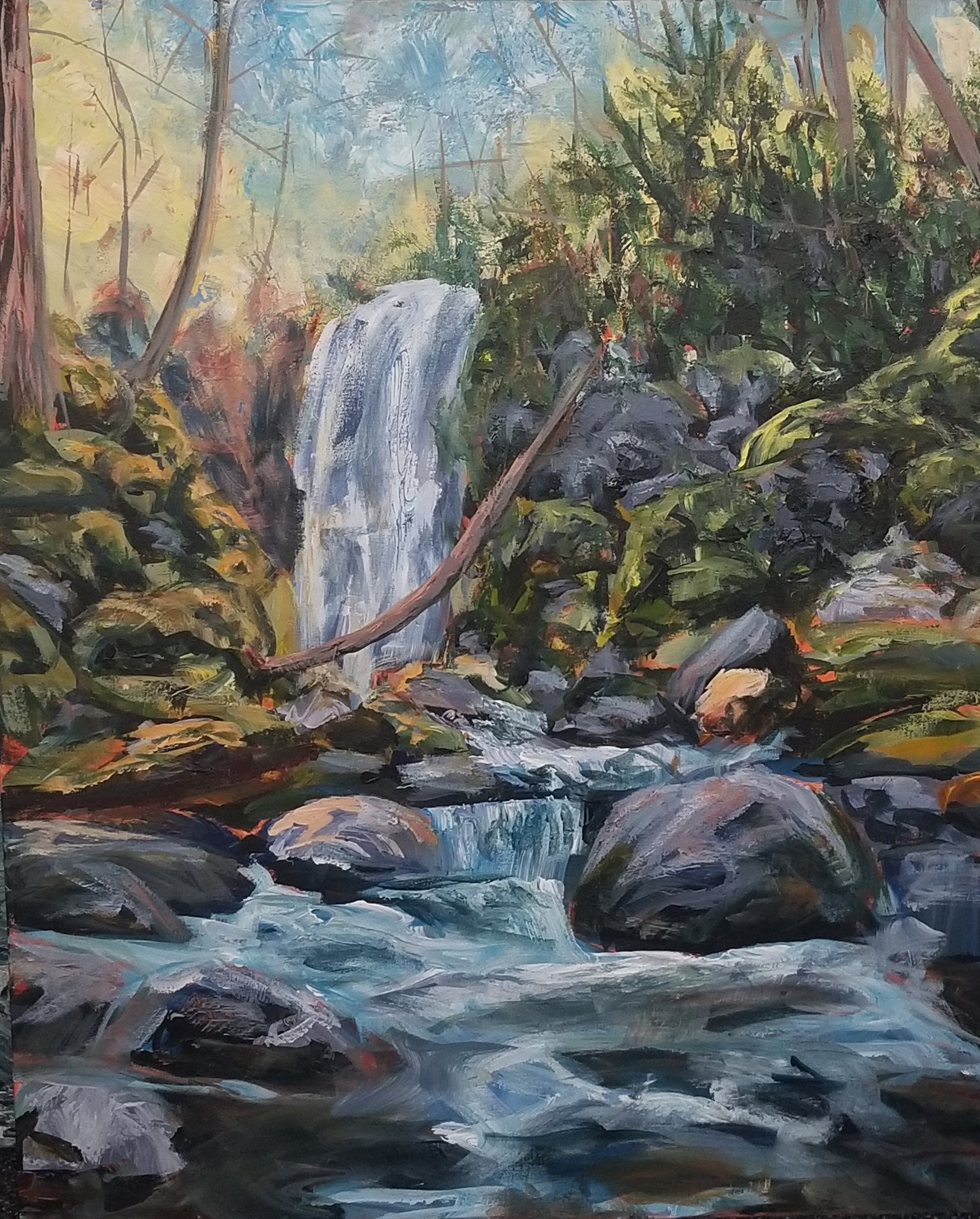 A Moment by the Falls