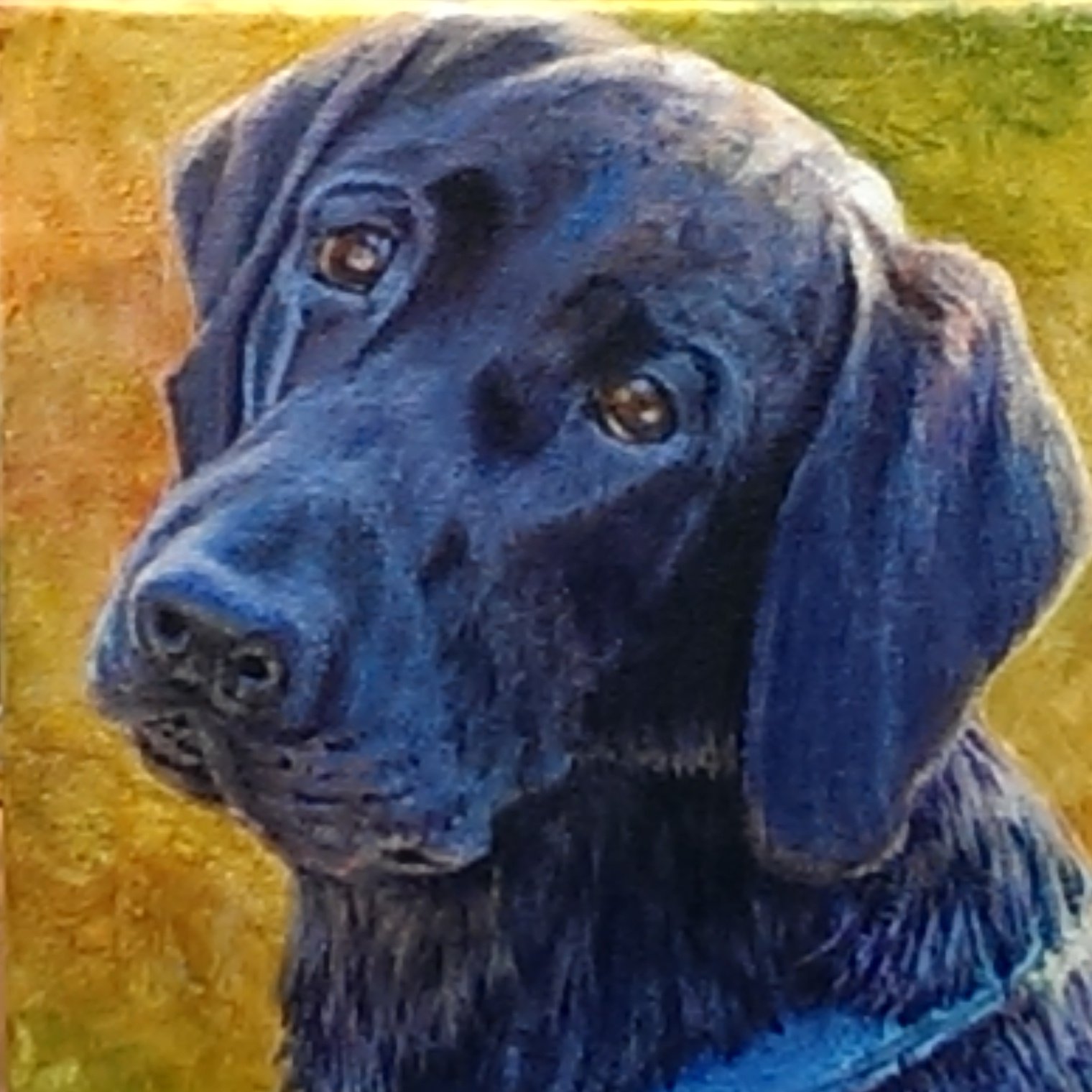 Black Lab