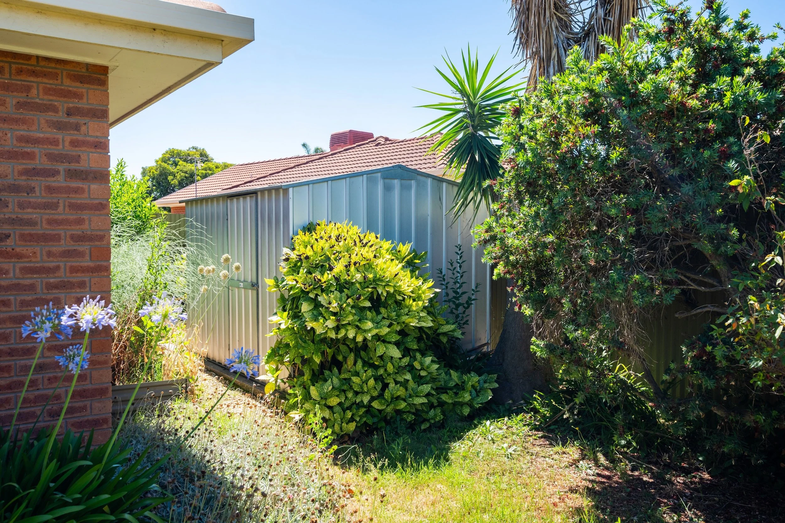 2-414 Tumgarra Pl-Lavington-08628.jpg