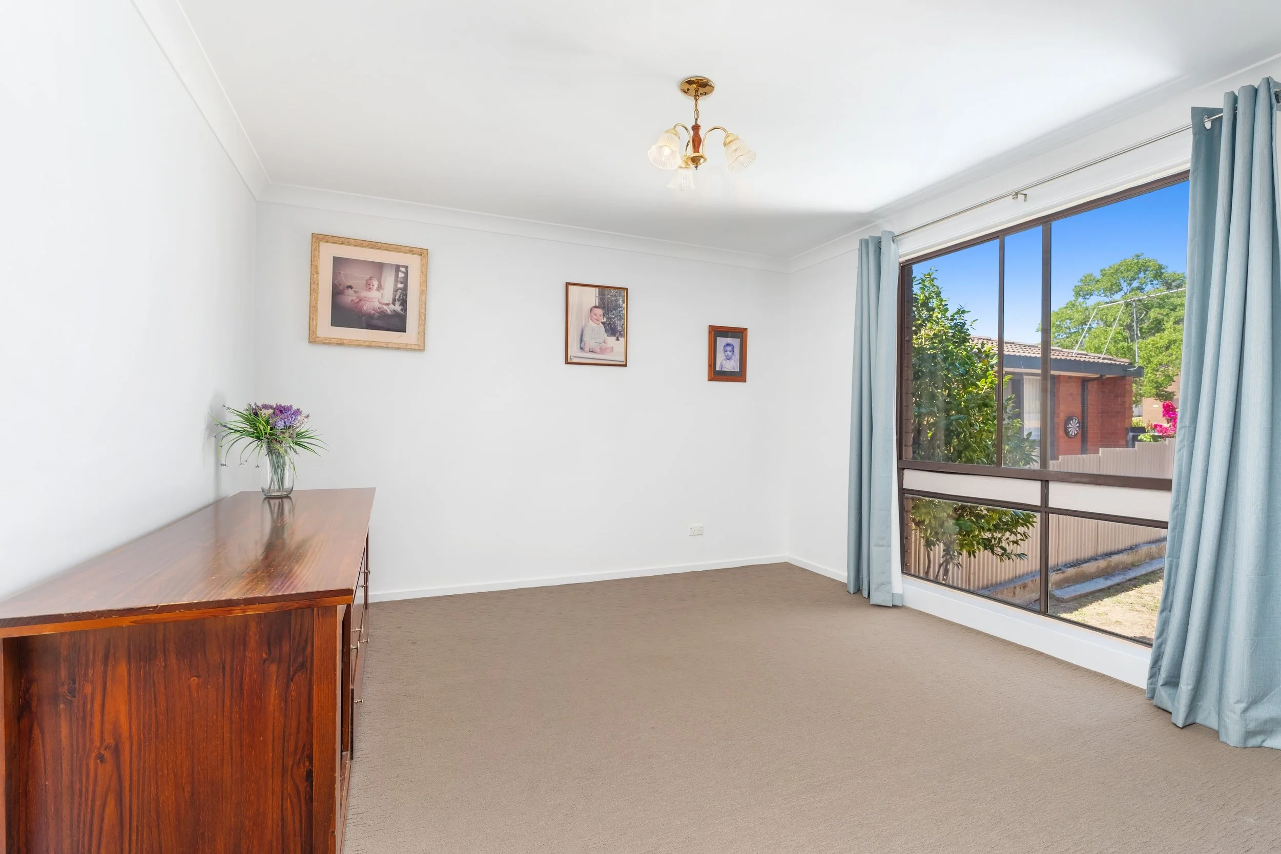 513 Hill St-West Albury-04578.jpg
