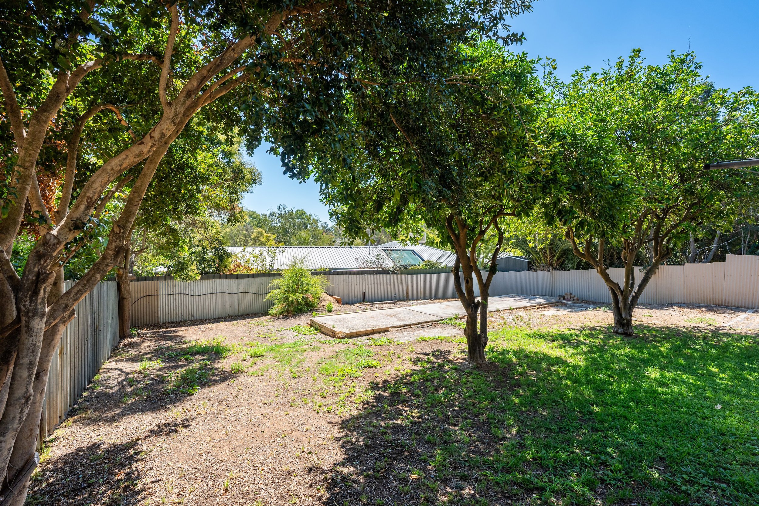 513 Hill St-West Albury-04642.jpg