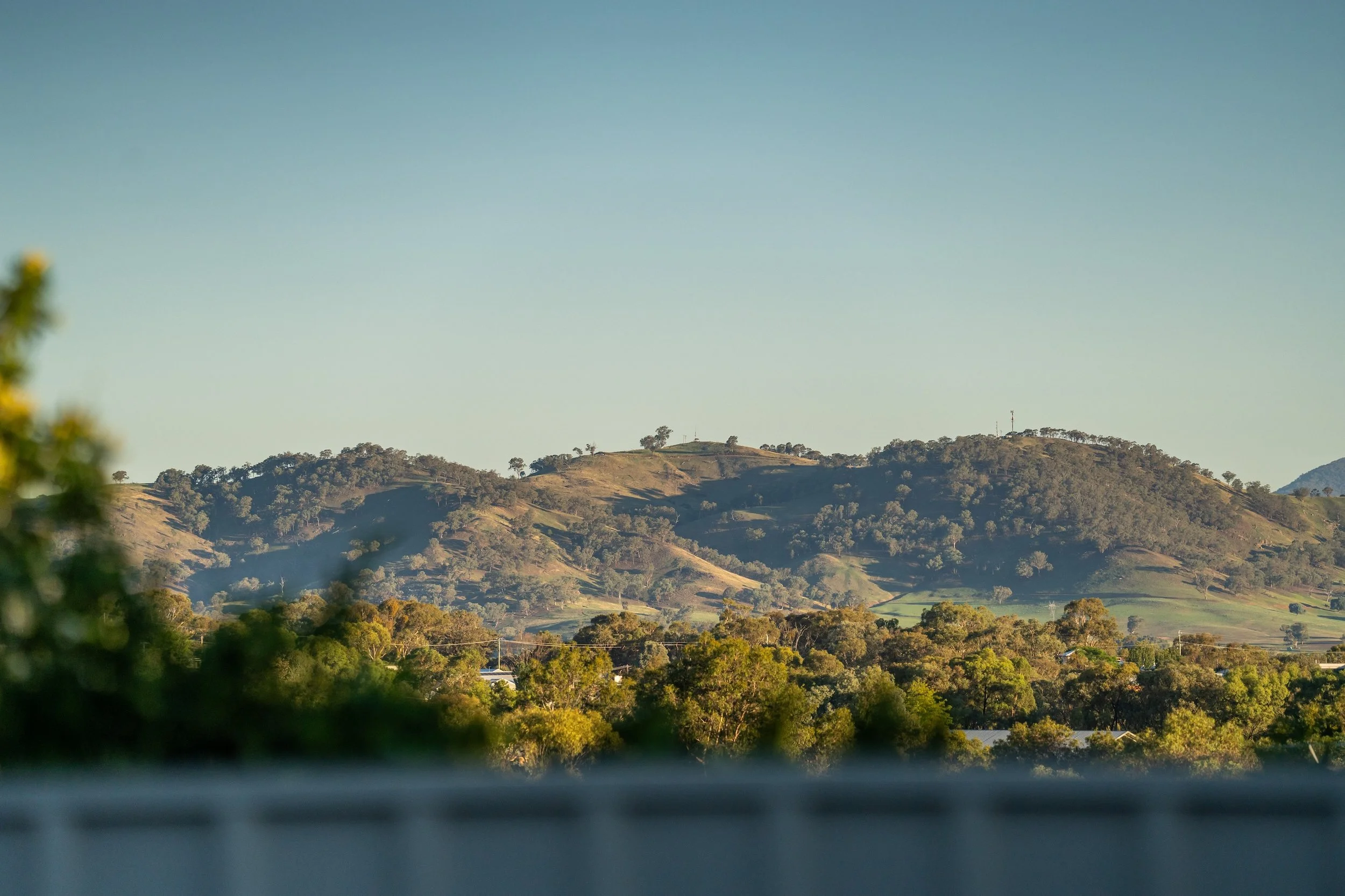 40 Warrenlee Dr-West Albury-00167.jpg