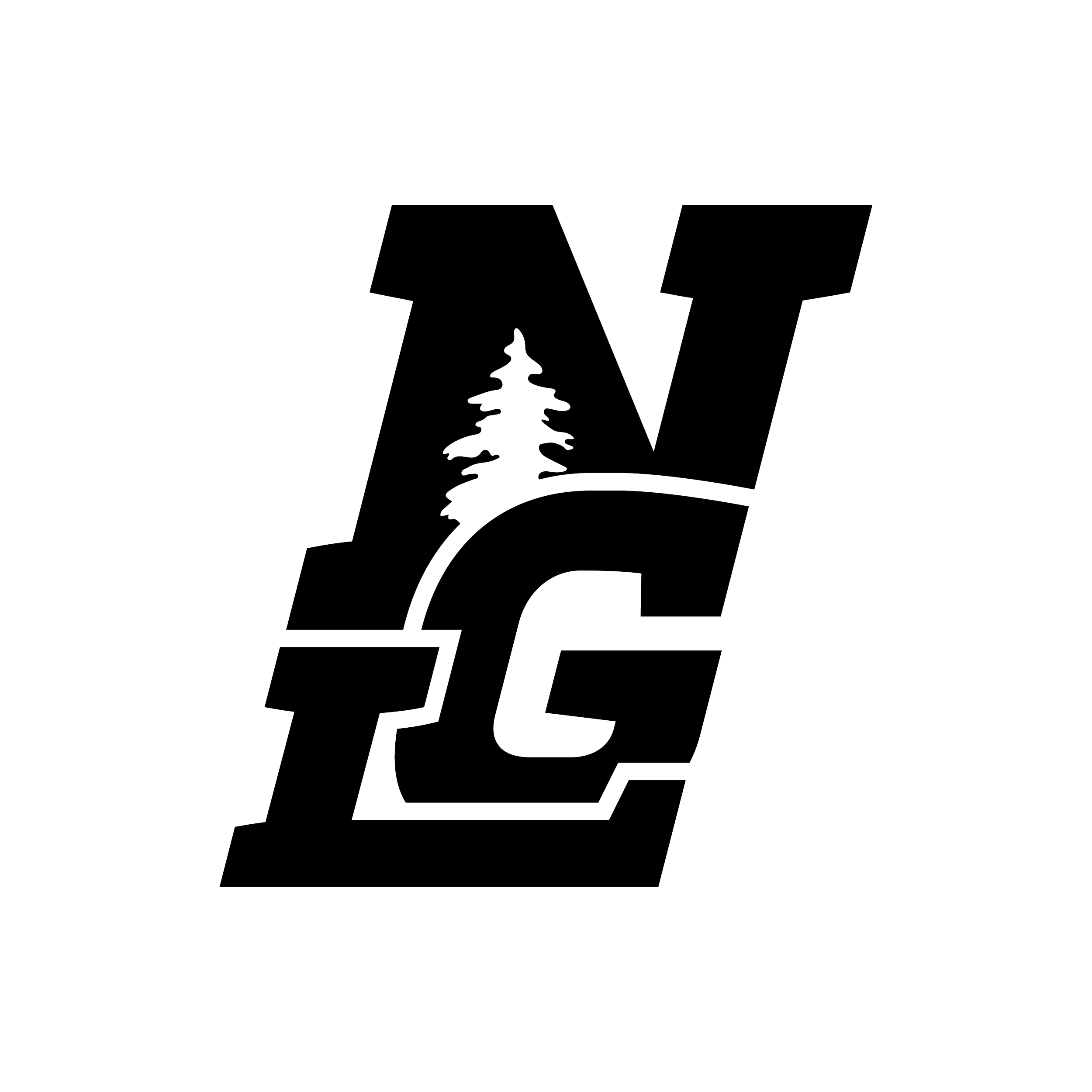NGL-LOGO_Logo.png