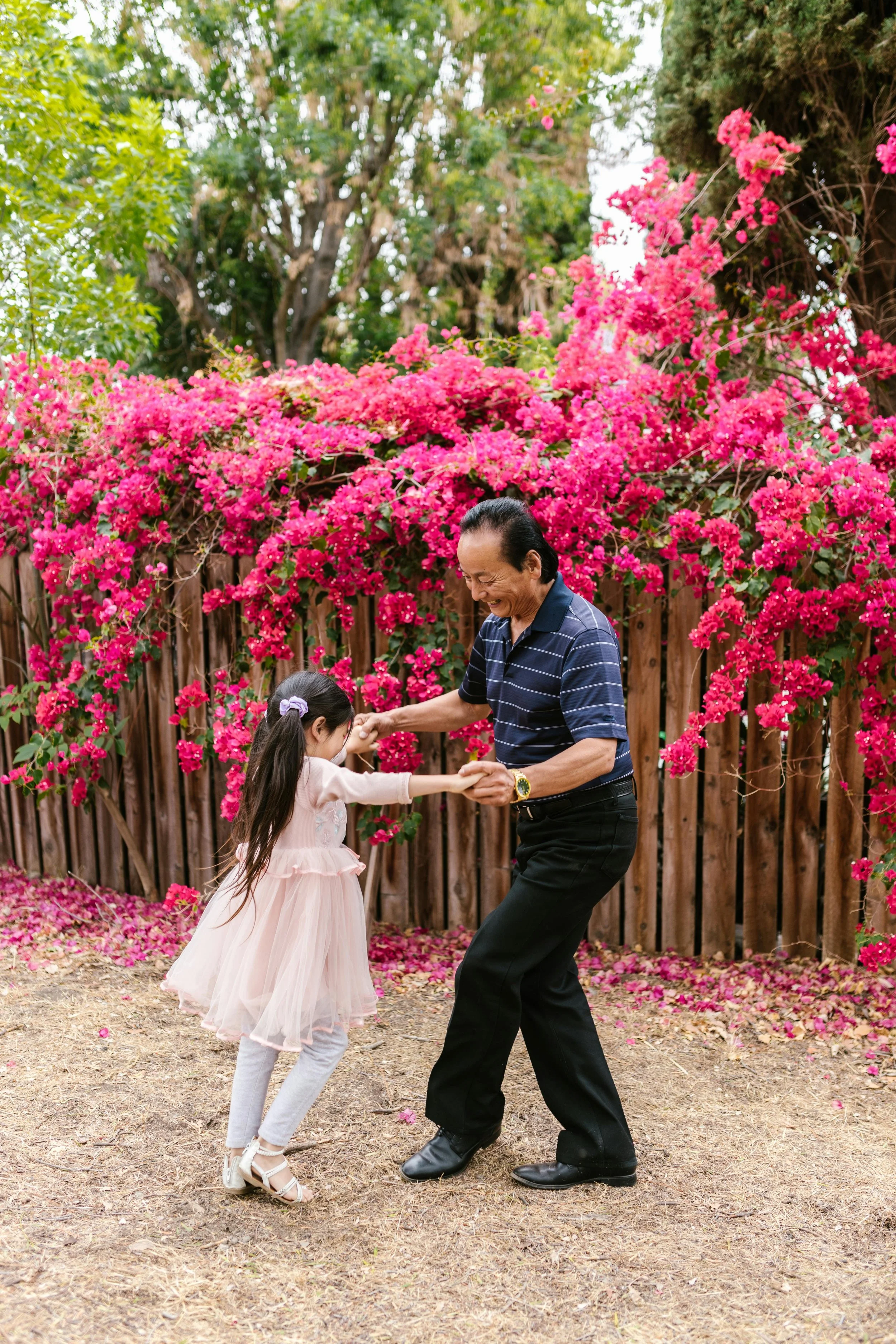 An elderly man and young girl dancing together outdoors, surrounded by vibrant pink flowers and a wooden fence.