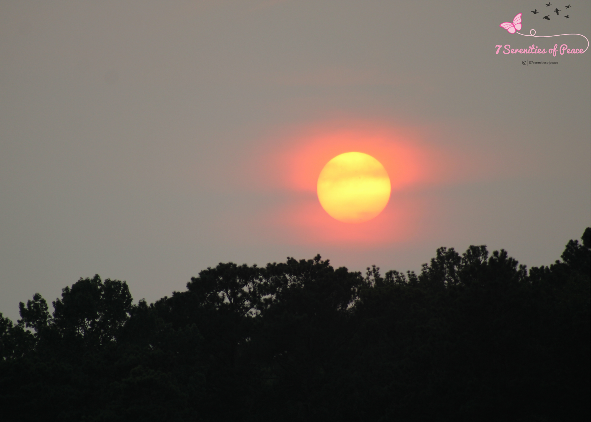 Sunset over tree silhouette with a pink and orange sky.