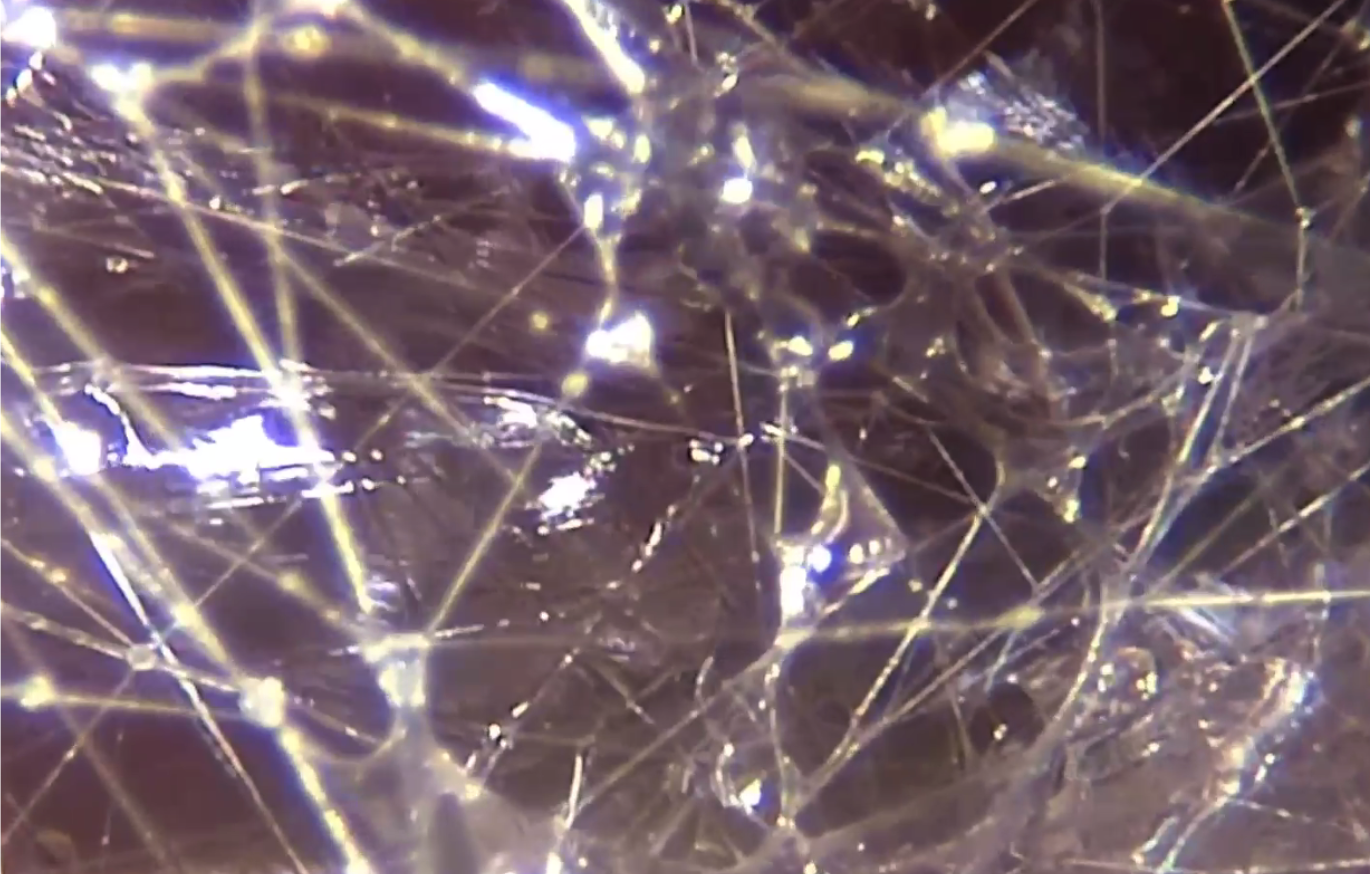 Screenshot 2026-01-25 at 2.34.57 PM.png