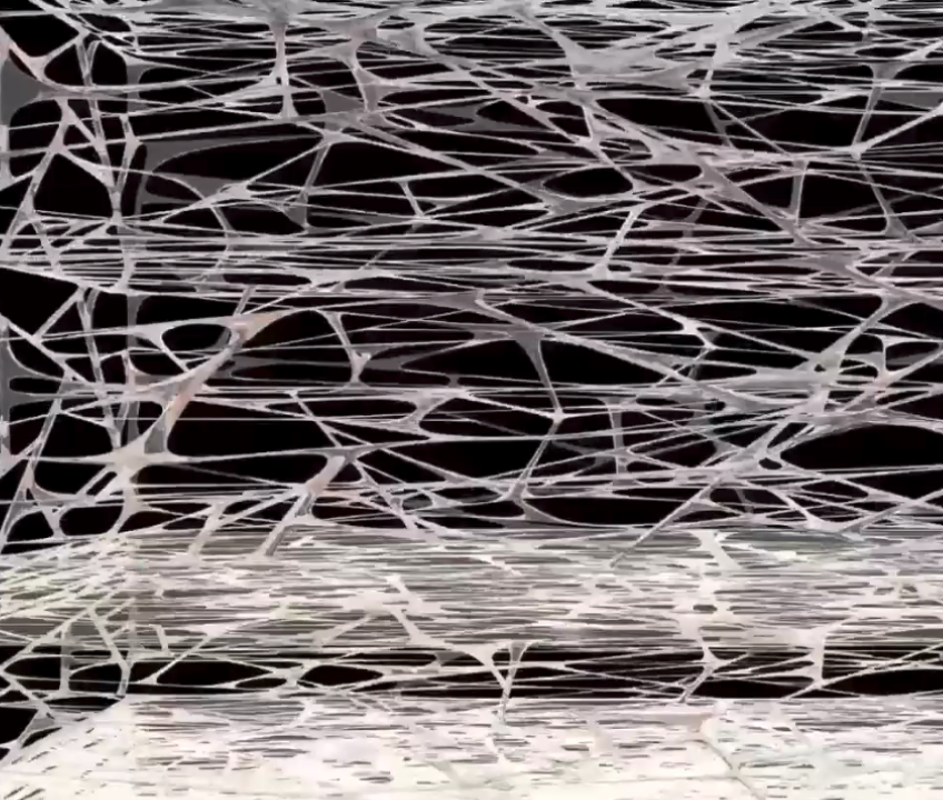 Screenshot 2026-01-25 at 2.35.30 PM.png