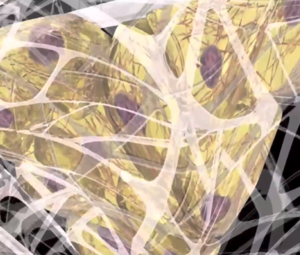 Screenshot 2026-01-25 at 2.35.37 PM.png