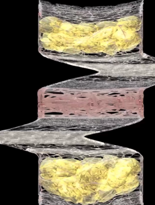 Screenshot 2026-01-25 at 2.36.04 PM.png