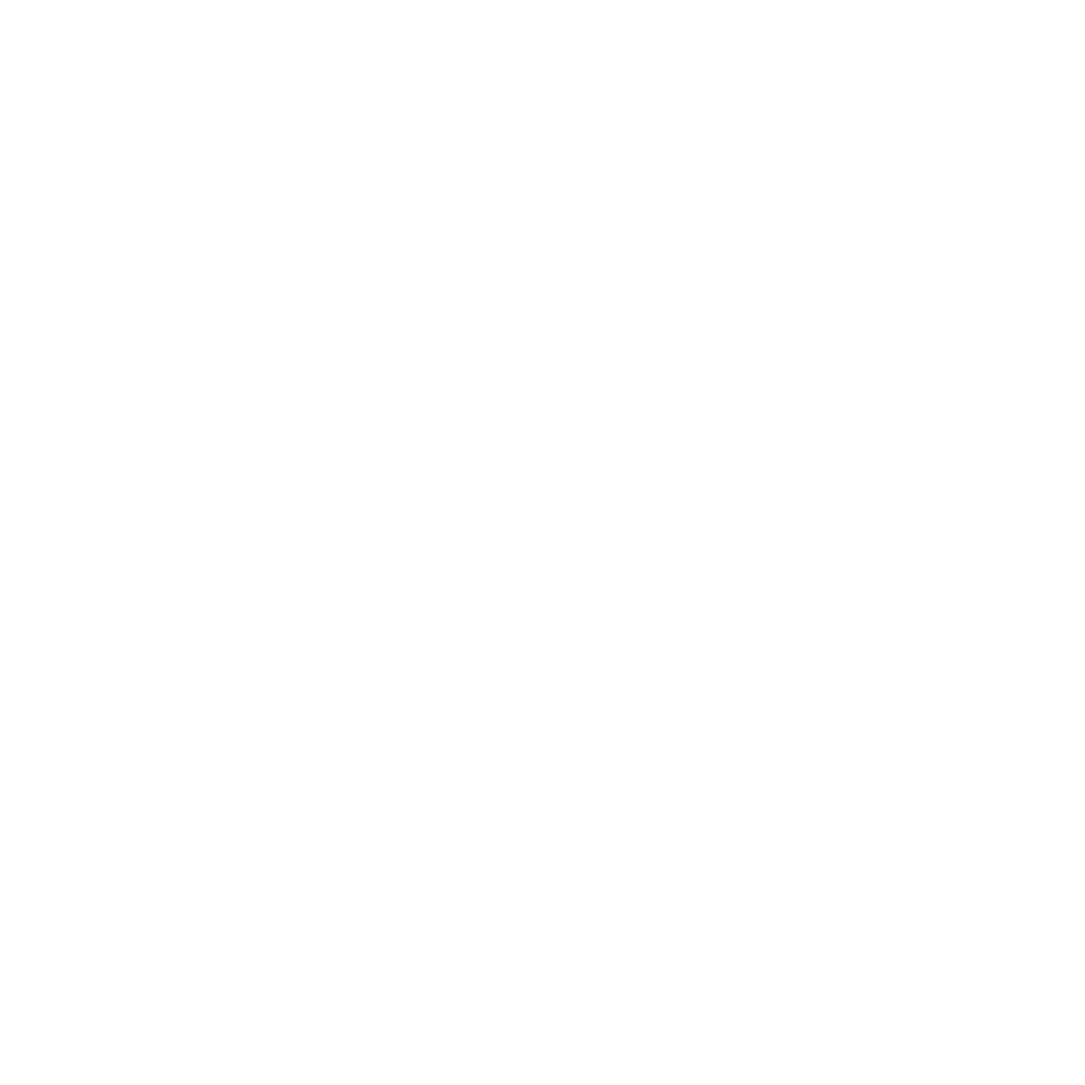 Premier Executive Search