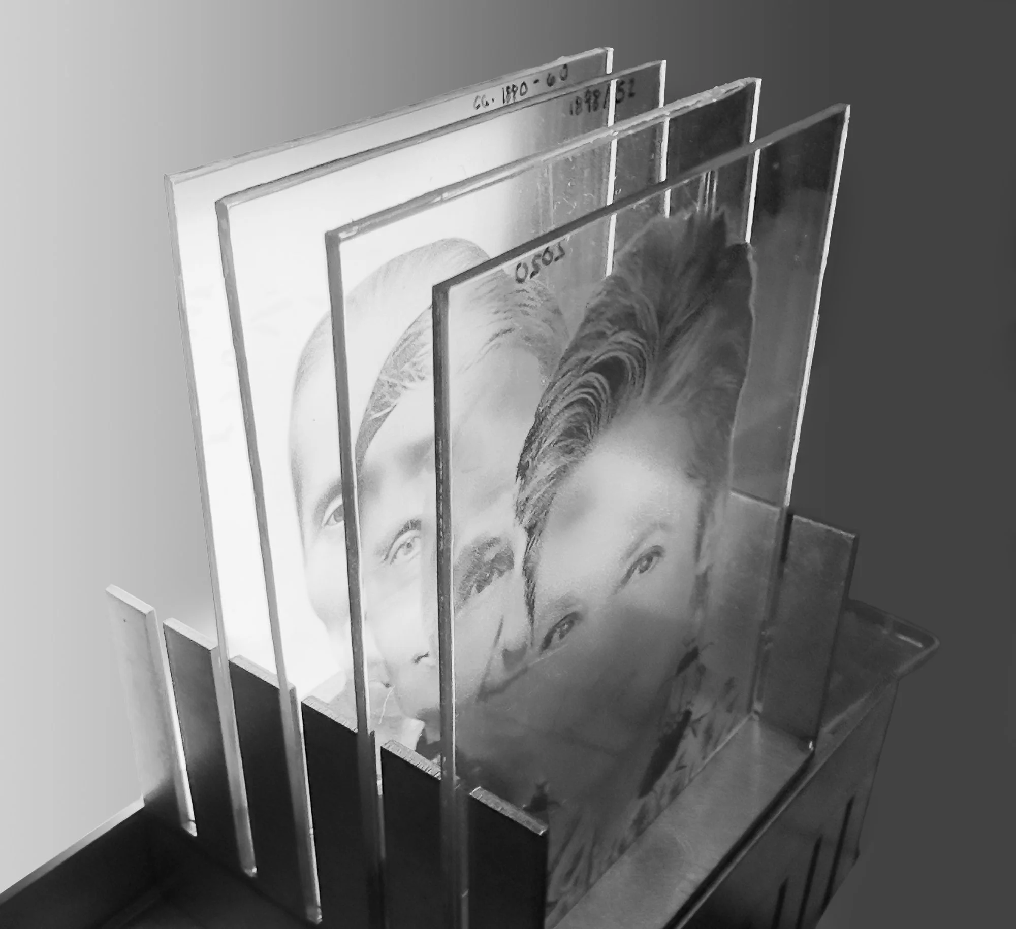 linaje paterno-ADN.jpg