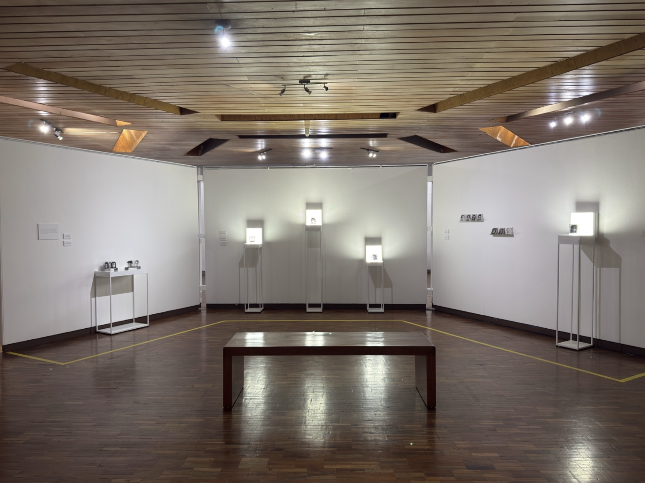 INSTITUTO POTOSINO DE BELLAS ARTES, SAN LUÍS POTOSI
