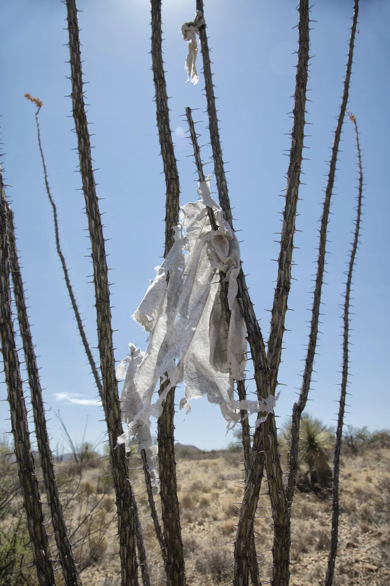 Sierrita Mountains, señales.jpg