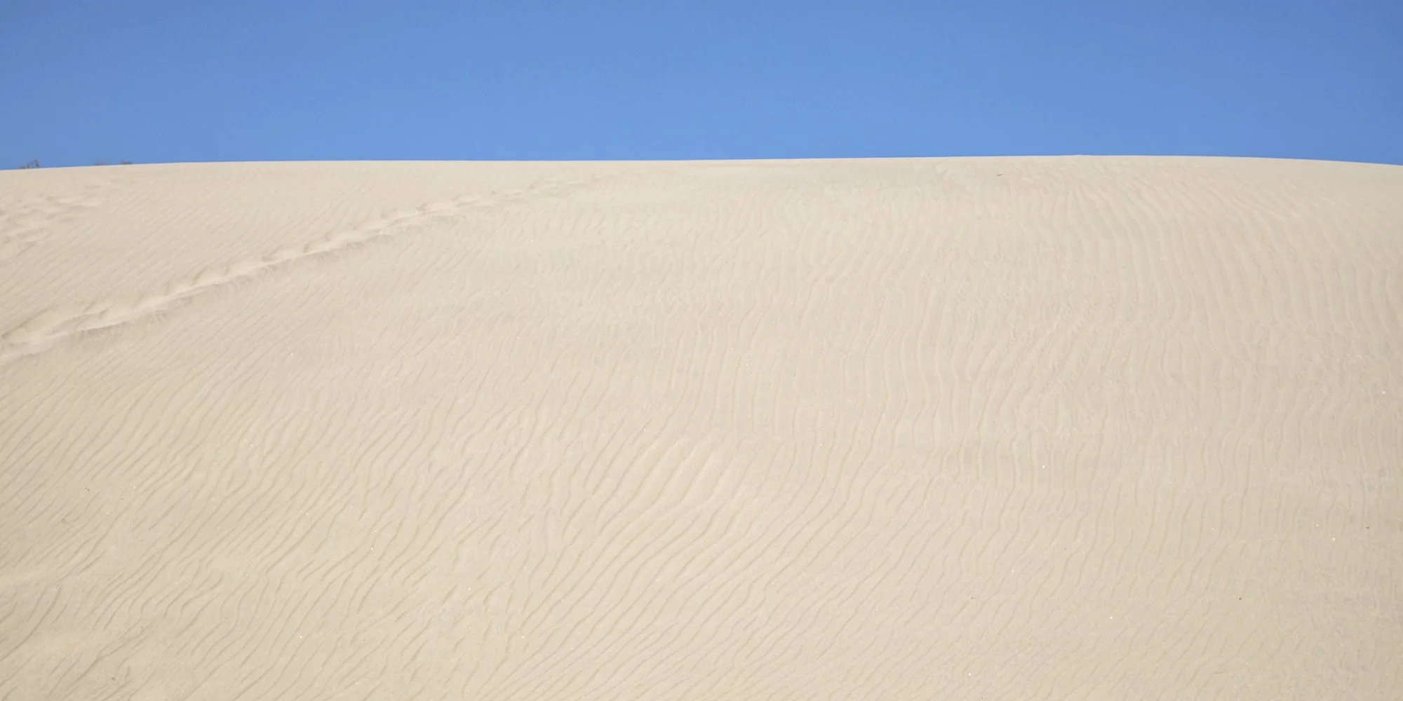 Algodones, BC.jpg