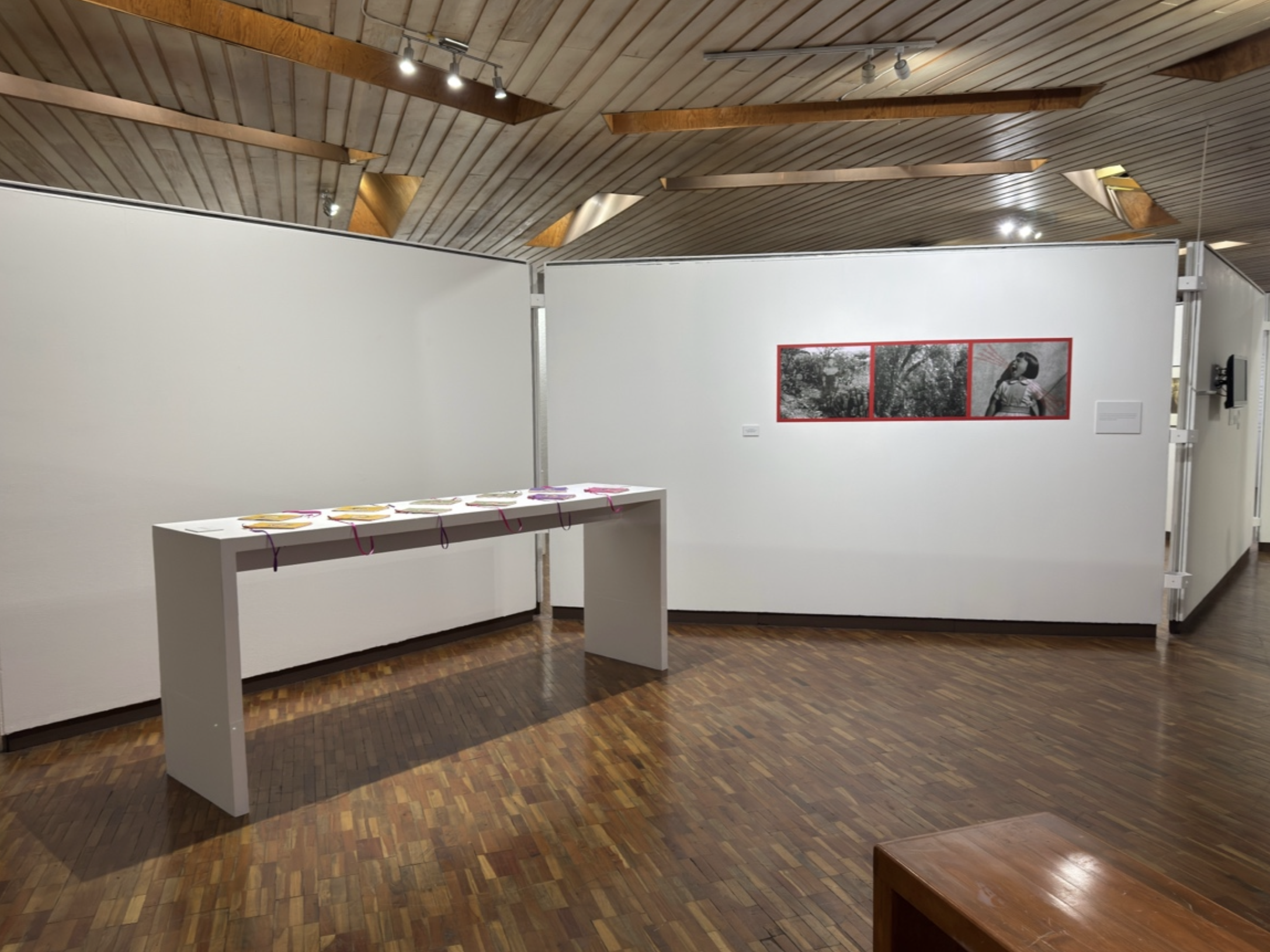 INSTITUTO POTOSINO DE BELLAS ARTES, SAN LUÍS POTOSI