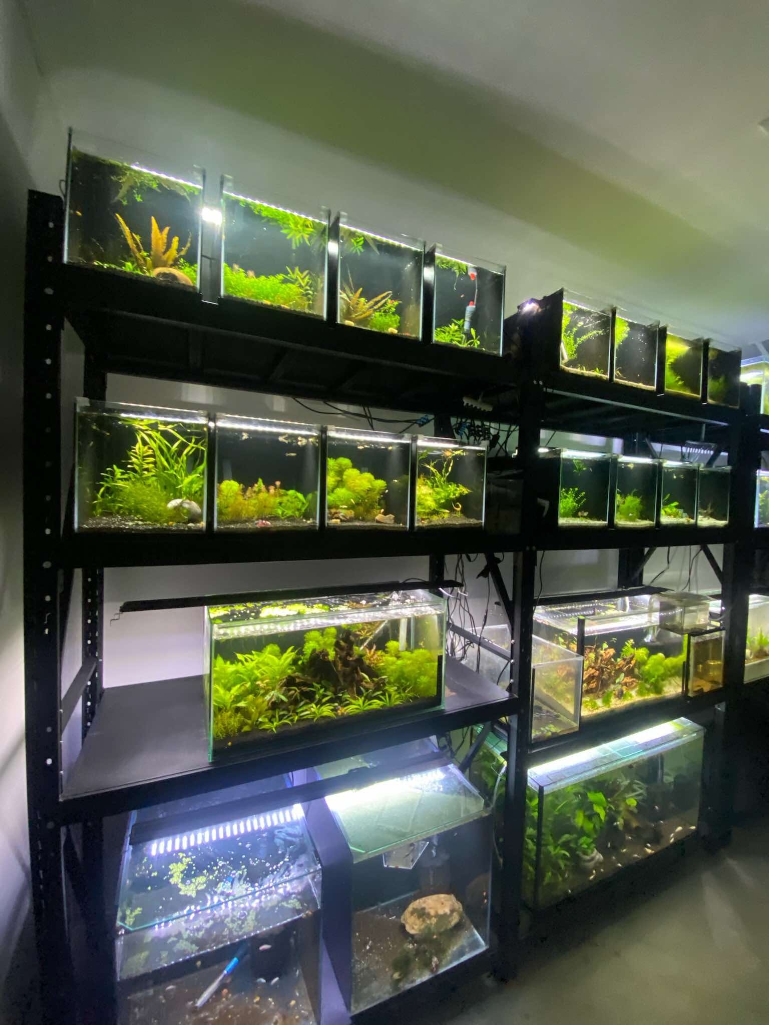 In-Depth Aquarium Guide