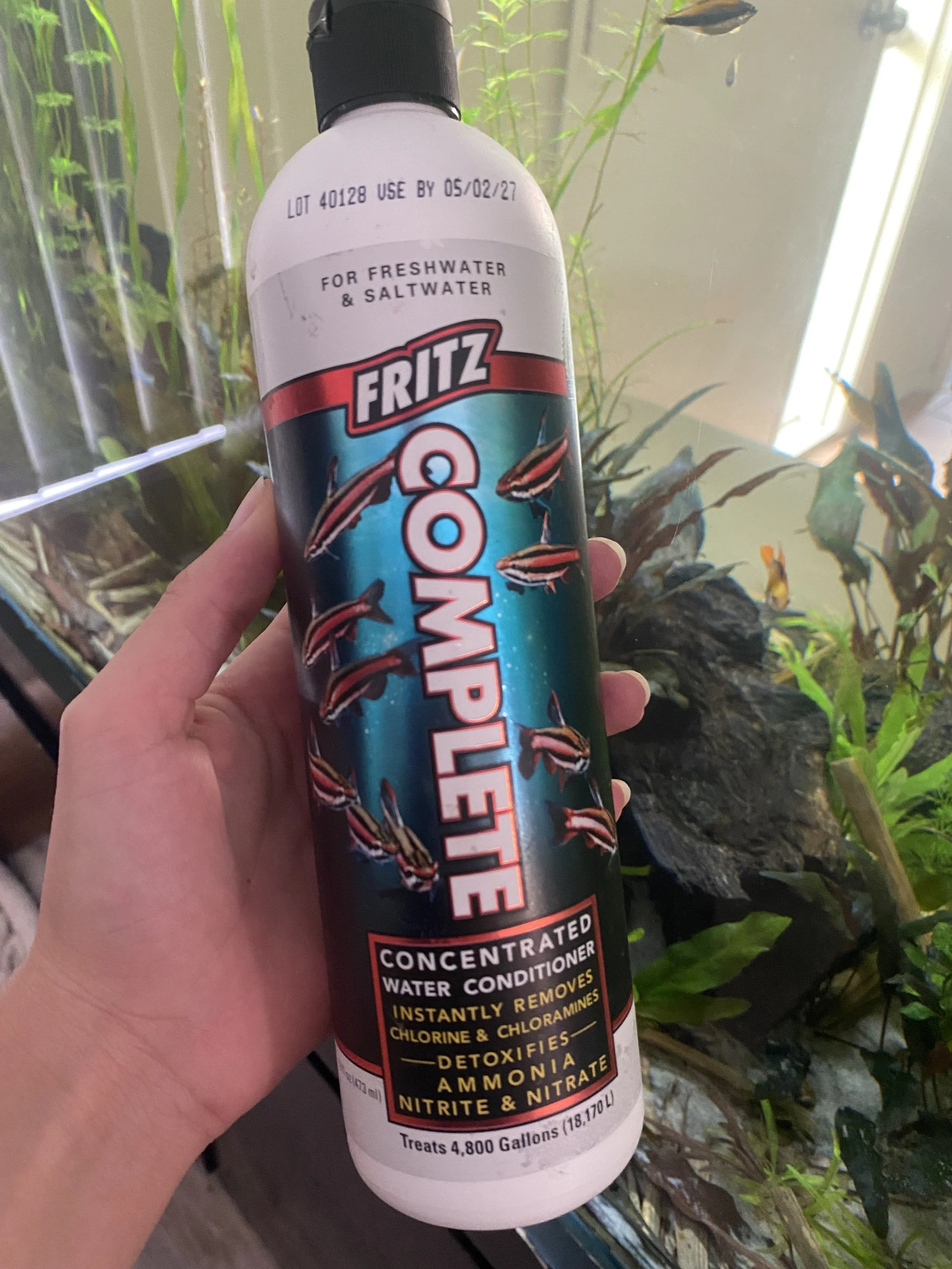 5 Biggest Money Traps in Aquarium Keeping