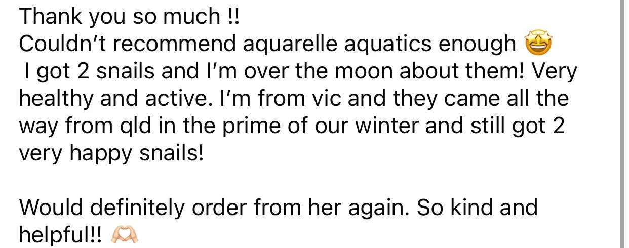 Screenshot of a review praising aquarelle aquatics, mentioning two snails, their health, and service from a person named Vic.