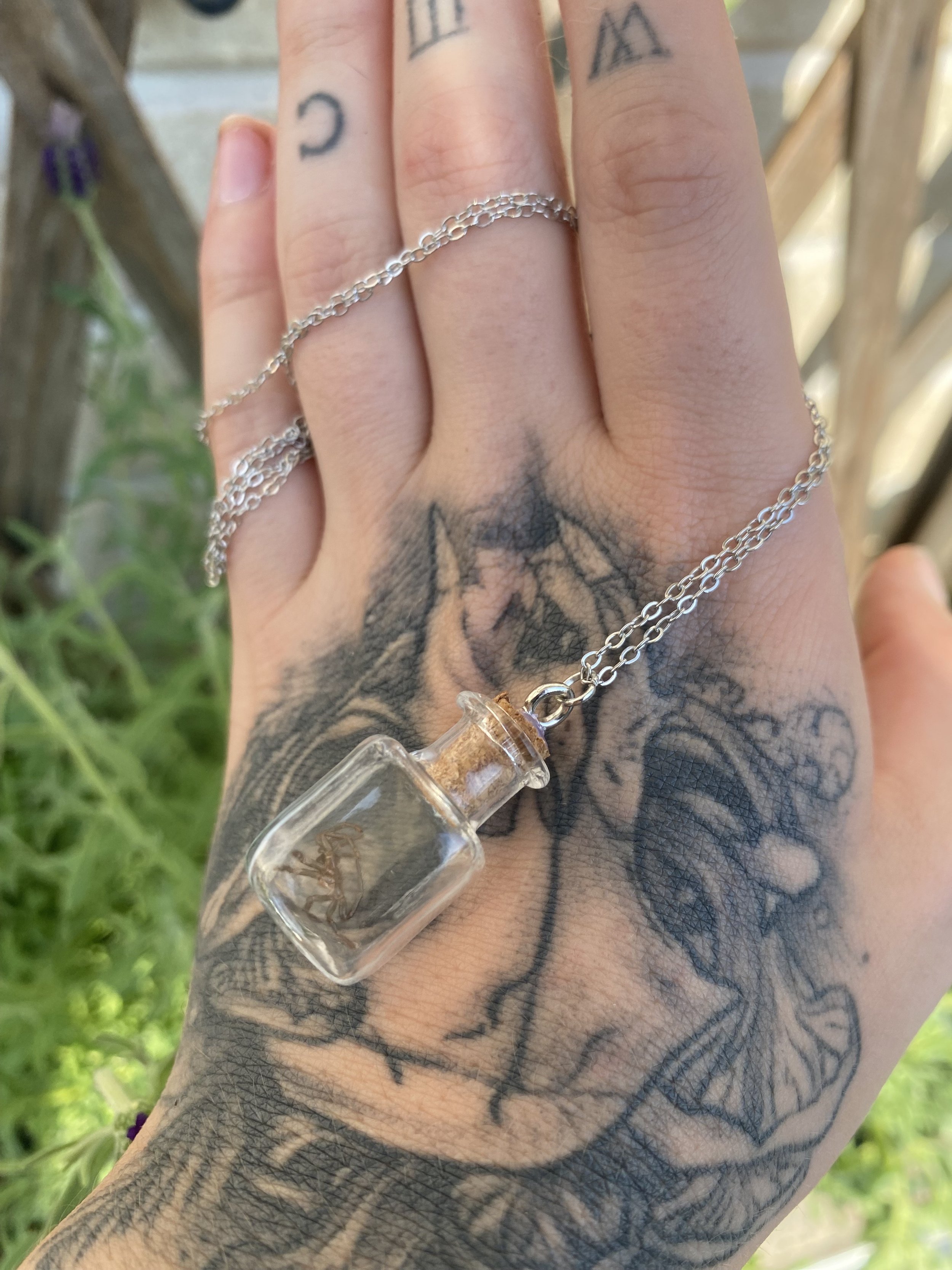 Funnel-Web Spider Moult Necklace