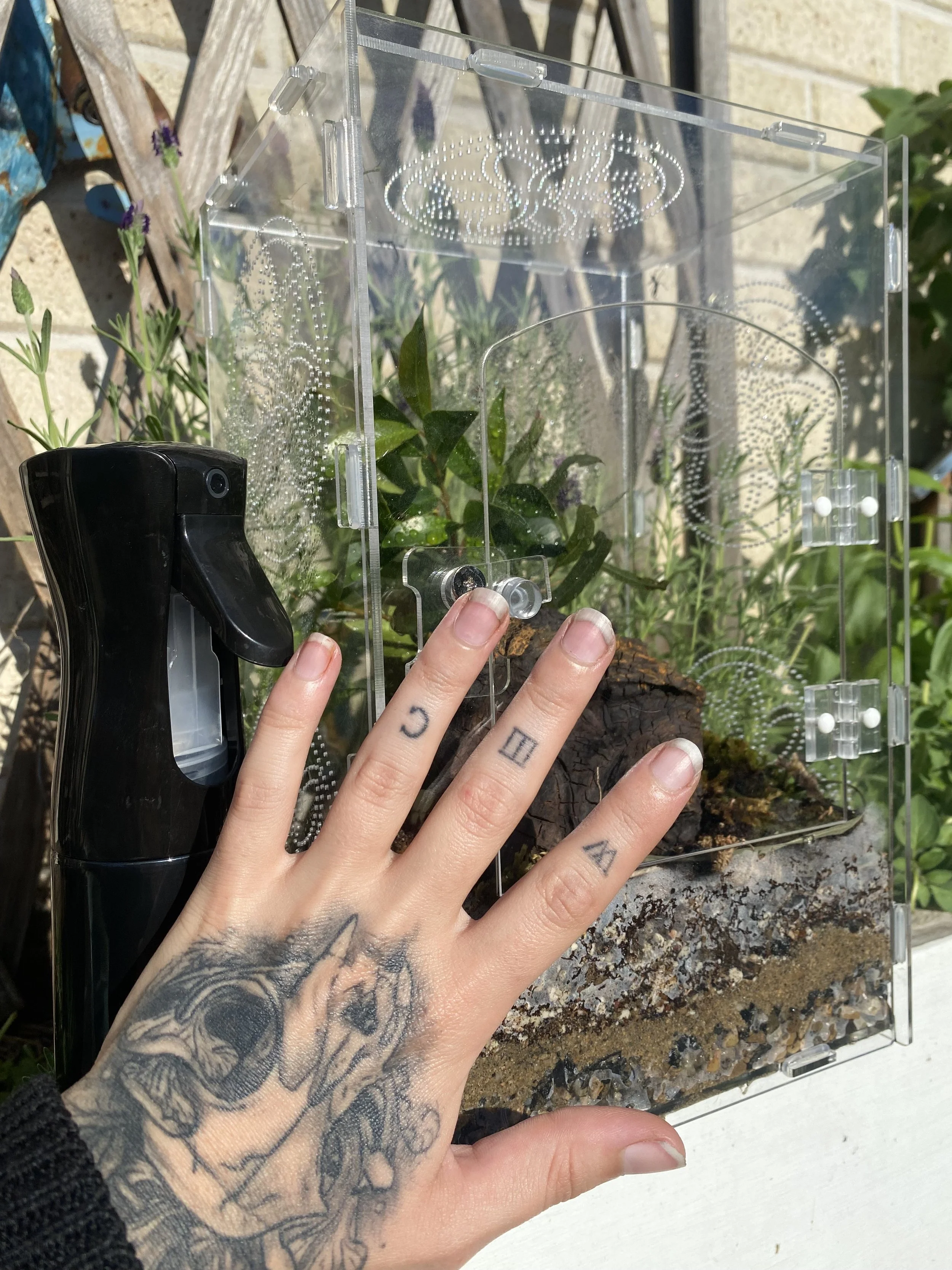 IMG_7119.jpeg (Copy)