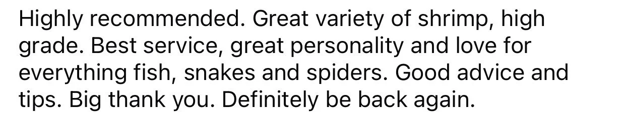Screenshot of a text review praising a seafood restaurant for its variety of shrimp, good service, and love for fish, snakes, and spiders.