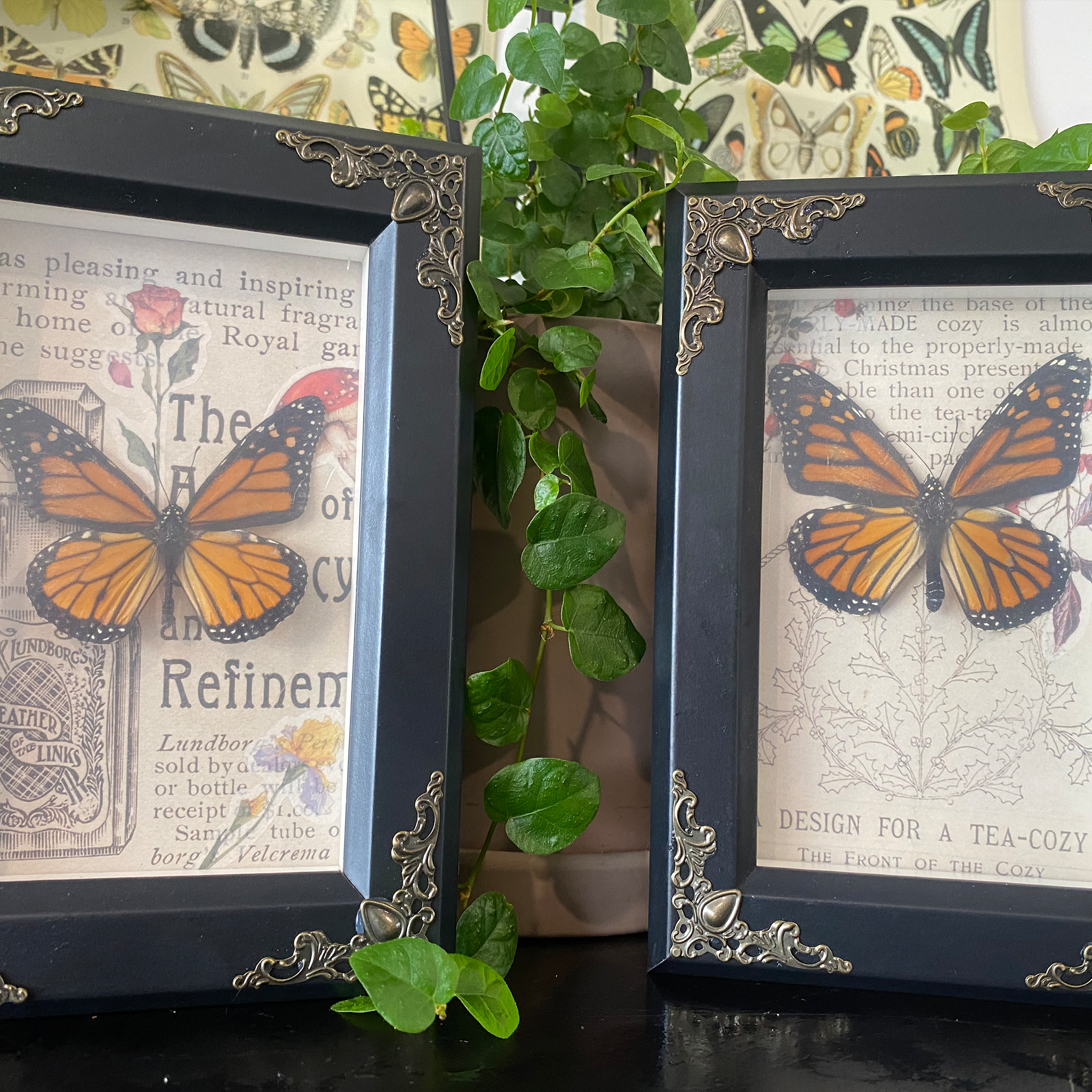 Two framed artworks with butterfly illustrations and text, a green leafy plant, and a background with butterfly wallpaper.