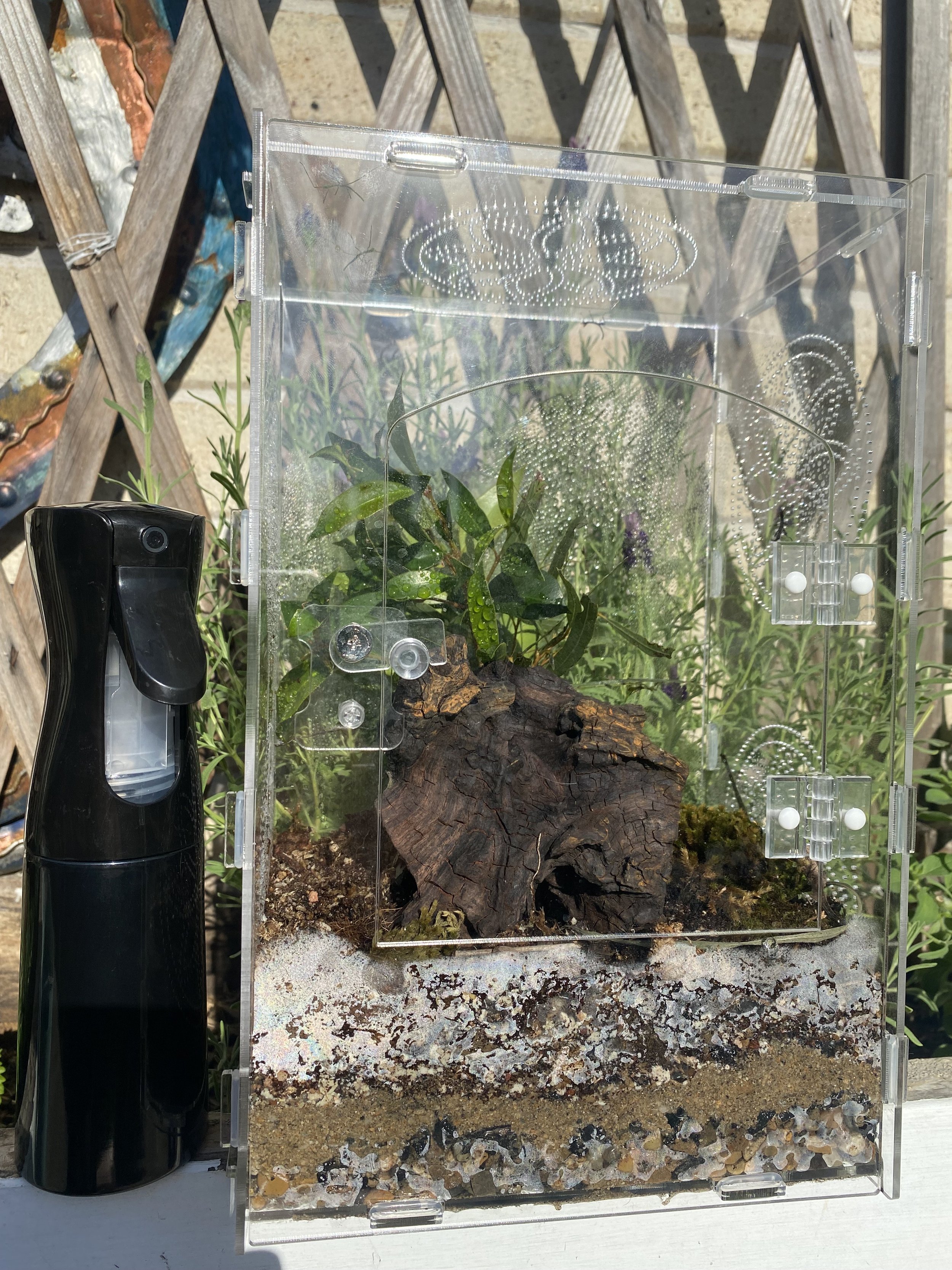 IMG_7117.jpeg (Copy)