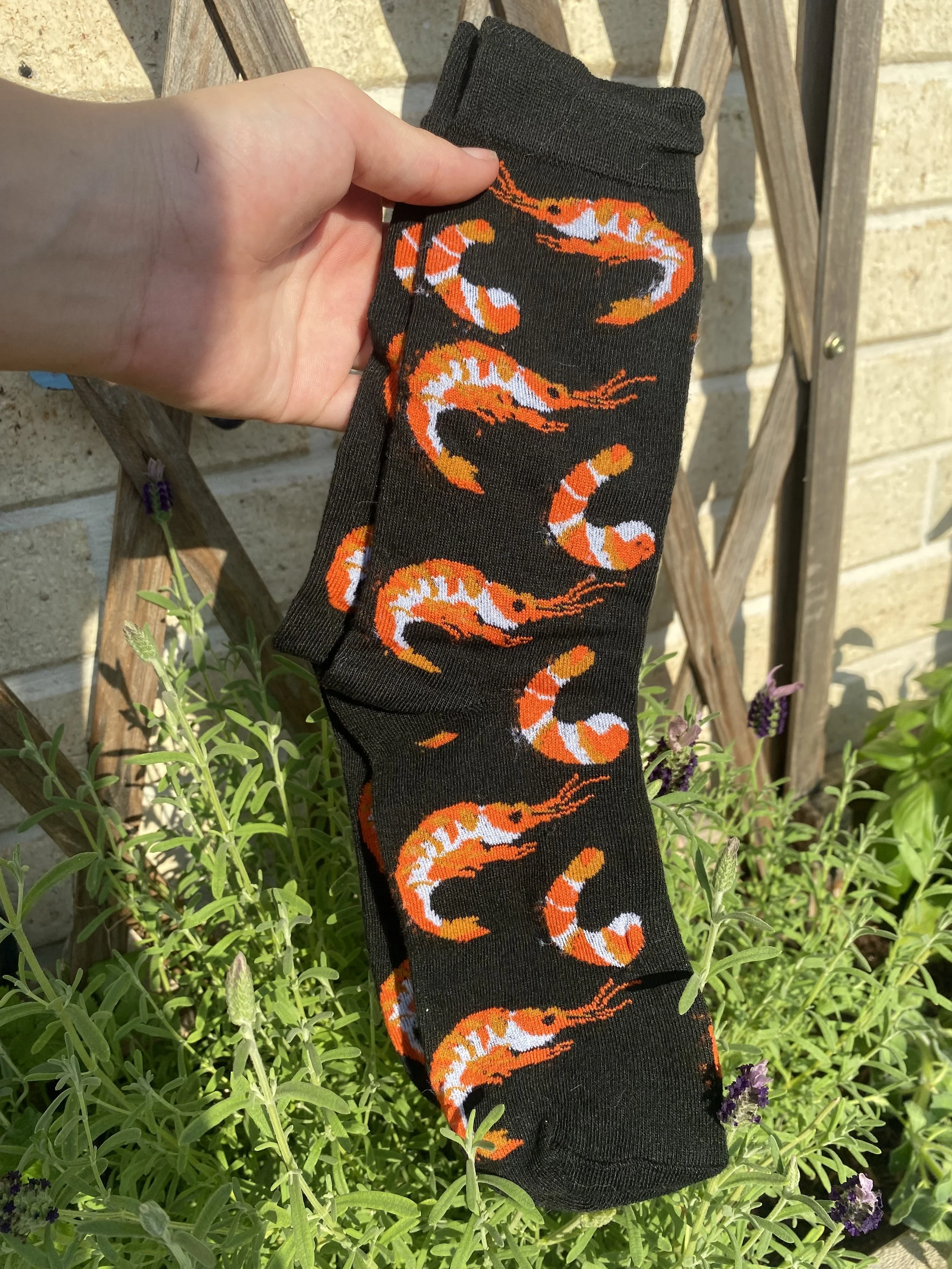 Close-up of a pair of black socks with orange and white shrimp patterns being held in front of a garden with plants and a wooden trellis.