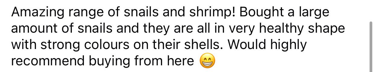 Screenshot of a text review praising a variety of healthy snails and shrimp bought from the seller.