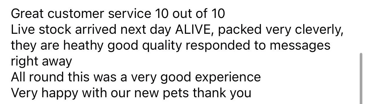 Screenshot of a positive customer review praising live stock delivery, quality of pets, and customer service.